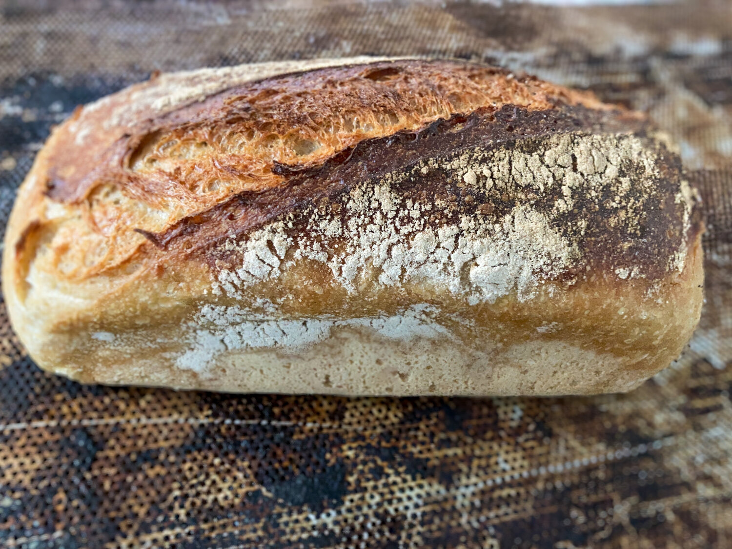 Tinned+sourdough+2.jpeg