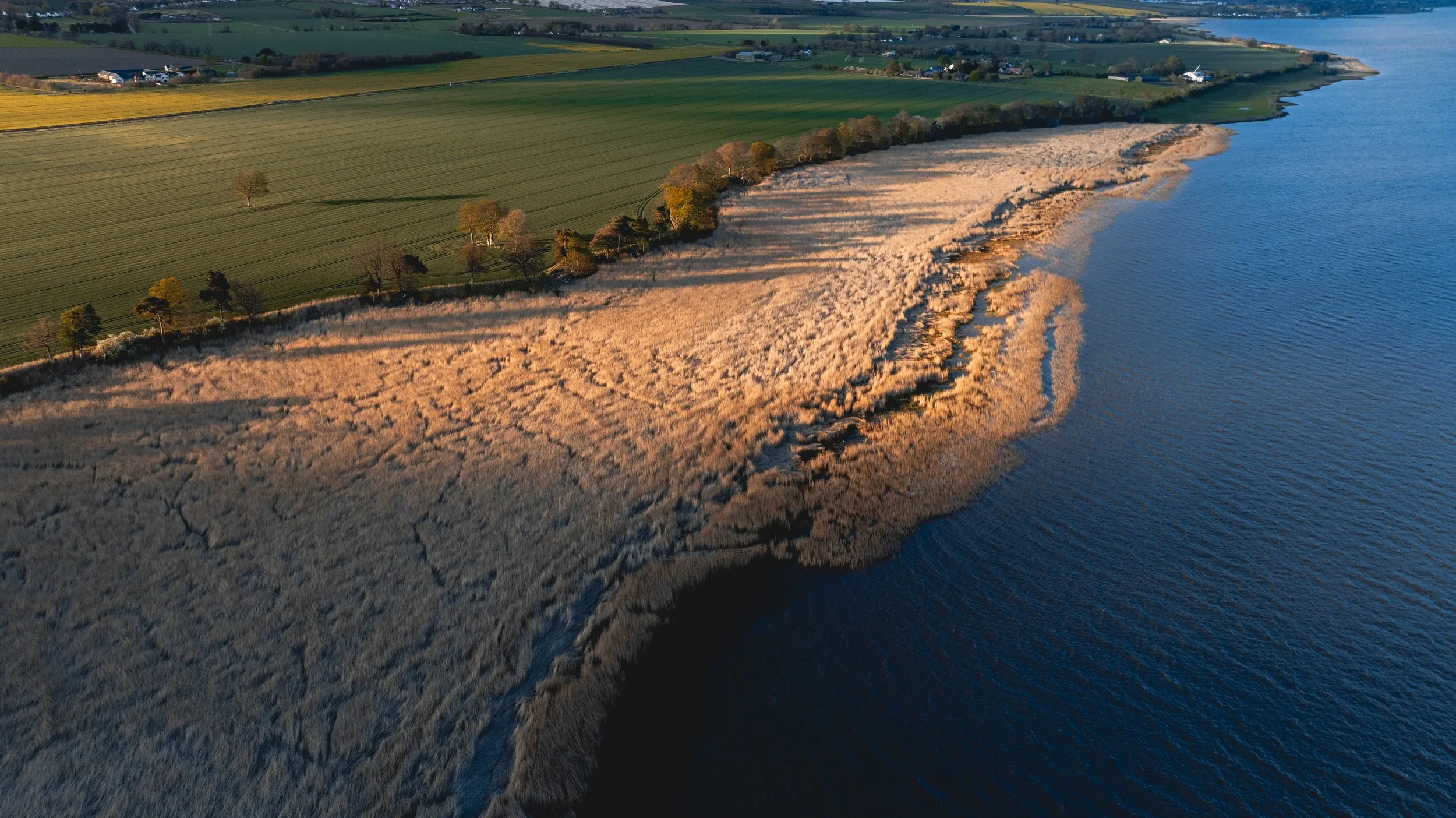 FIRTH OF TAY DRONE APRIL 26-9.jpg