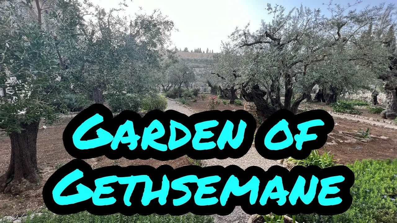 The Garden of Gethsemane
