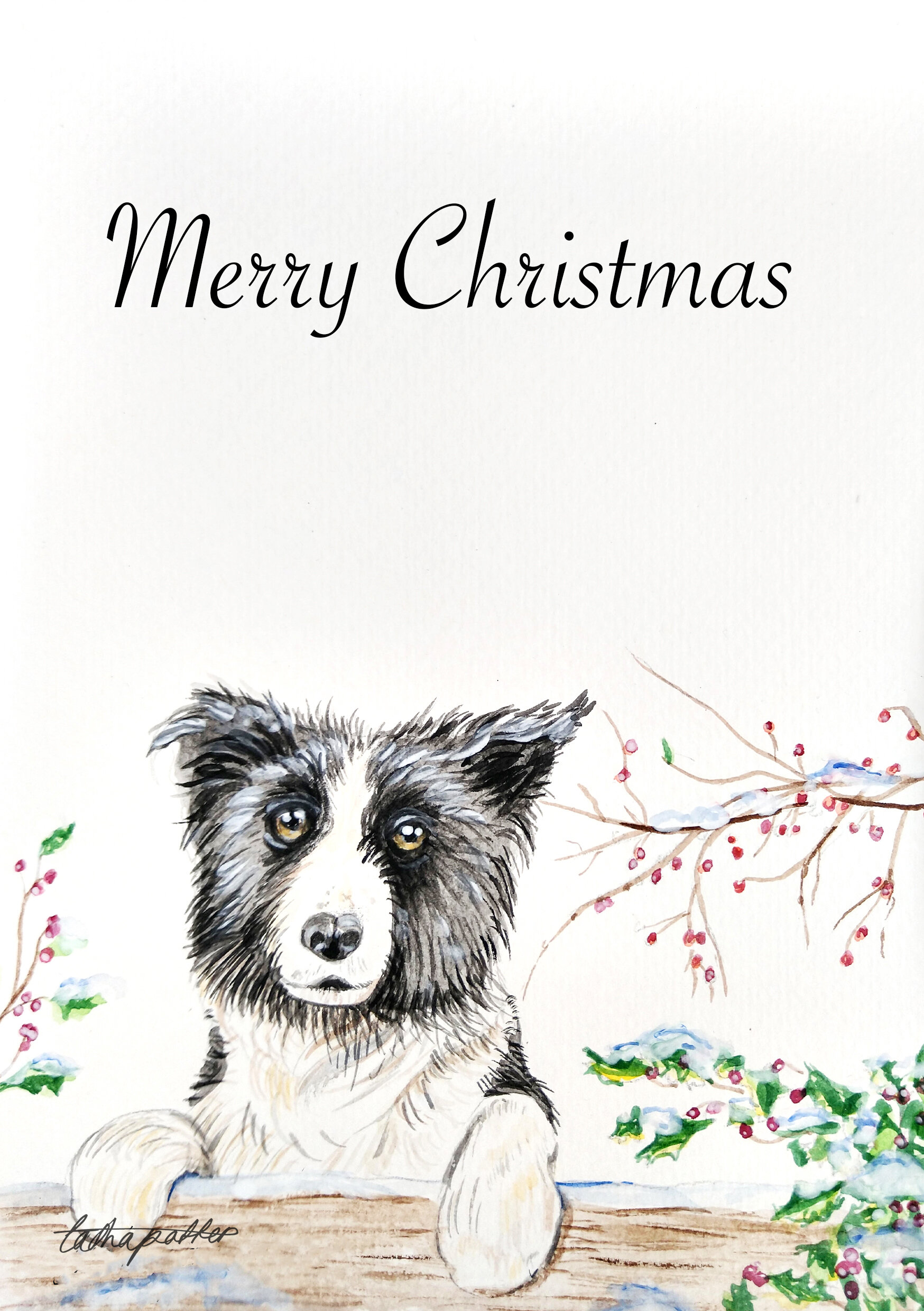 Border Collie Dog Greetings Christmas Card