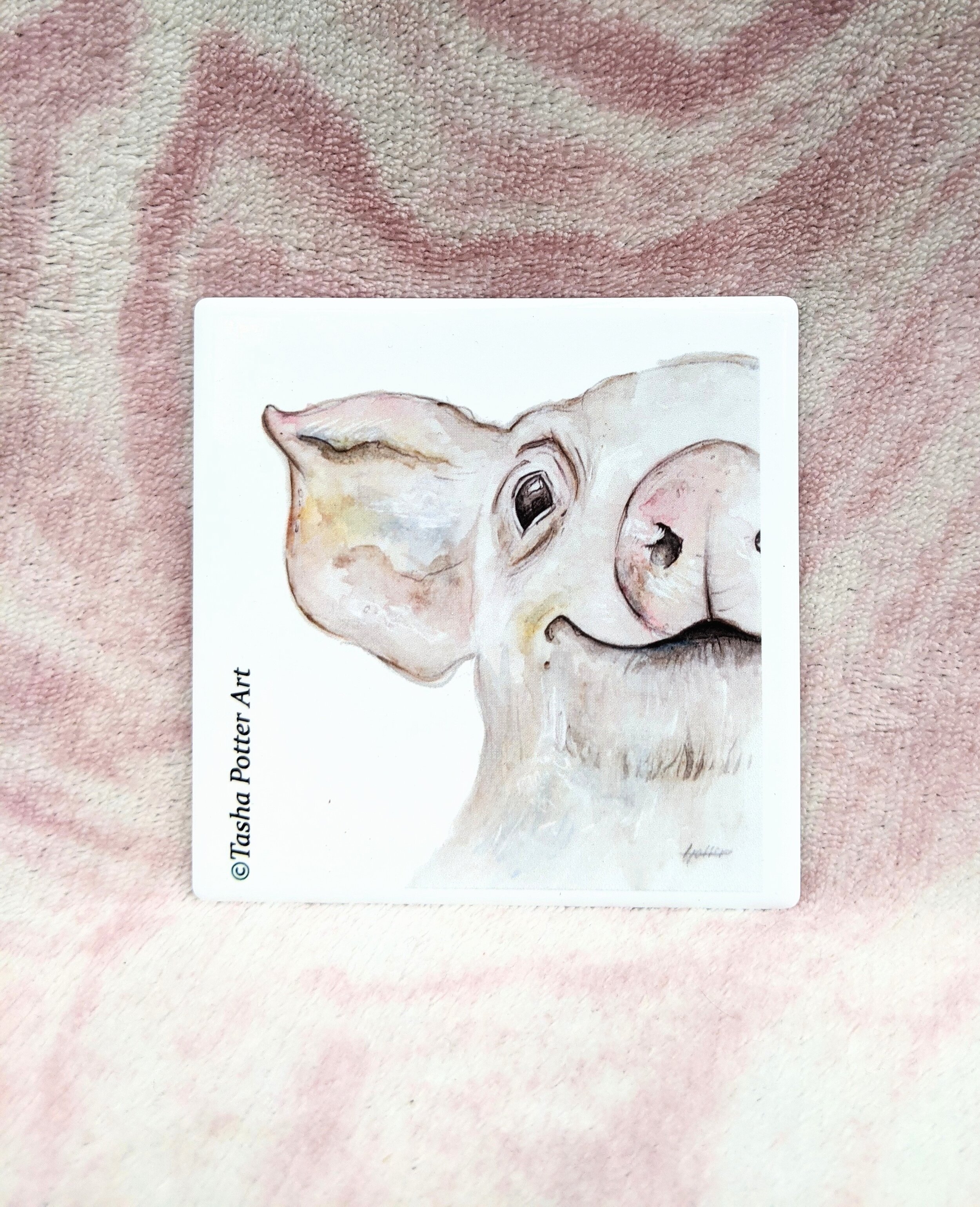 Farm Pig Coaster