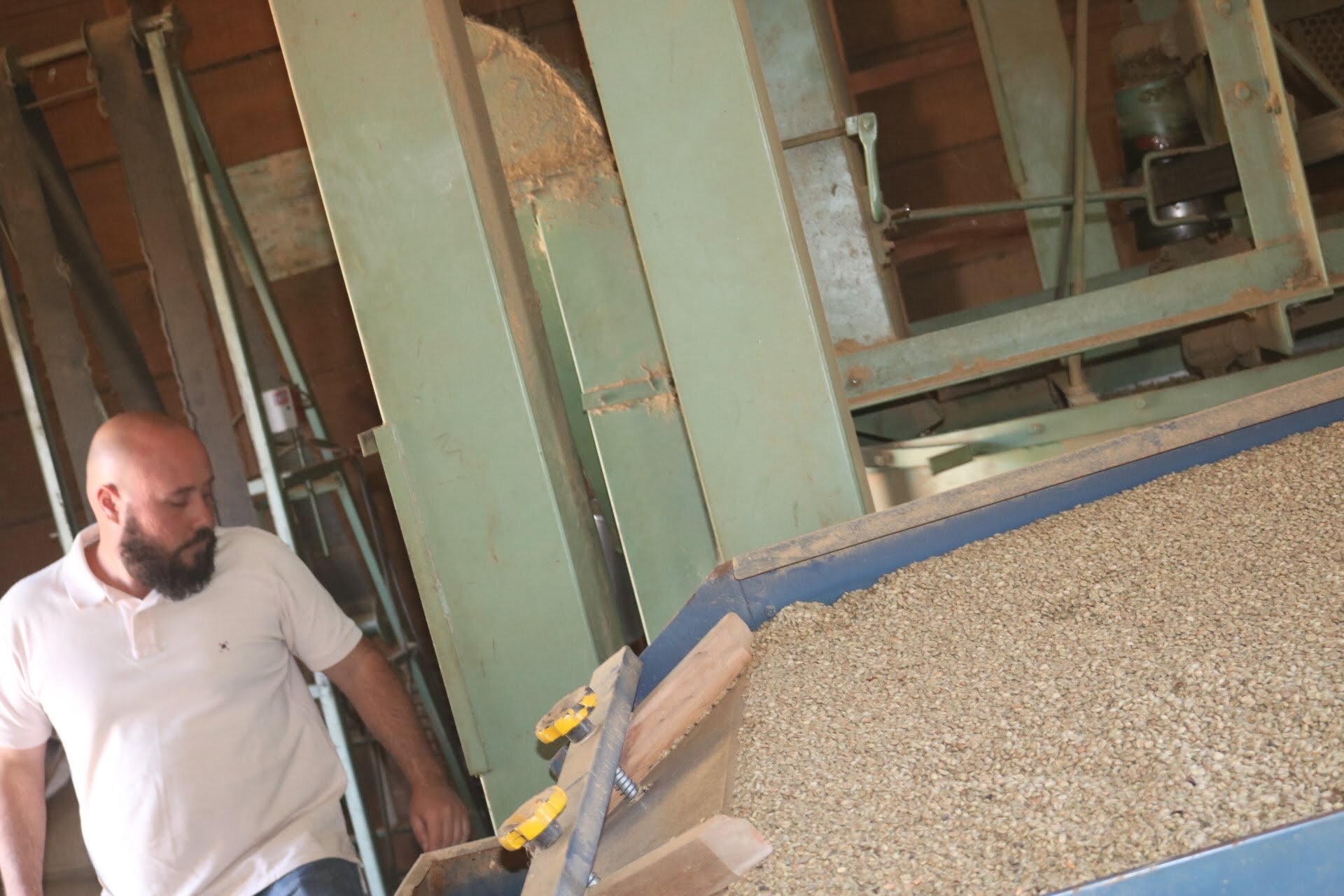 brazil coffee