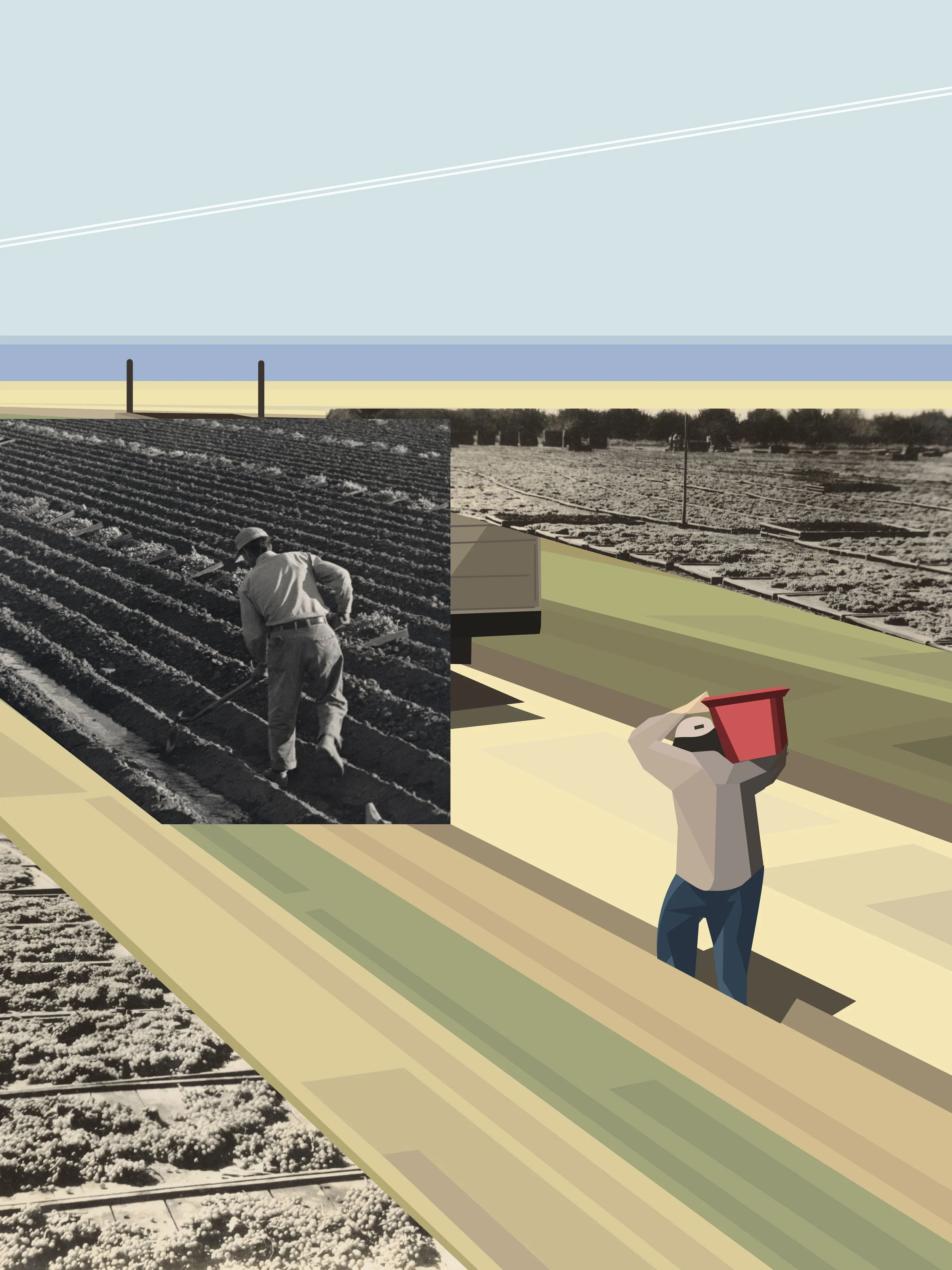 collagefarming.jpg