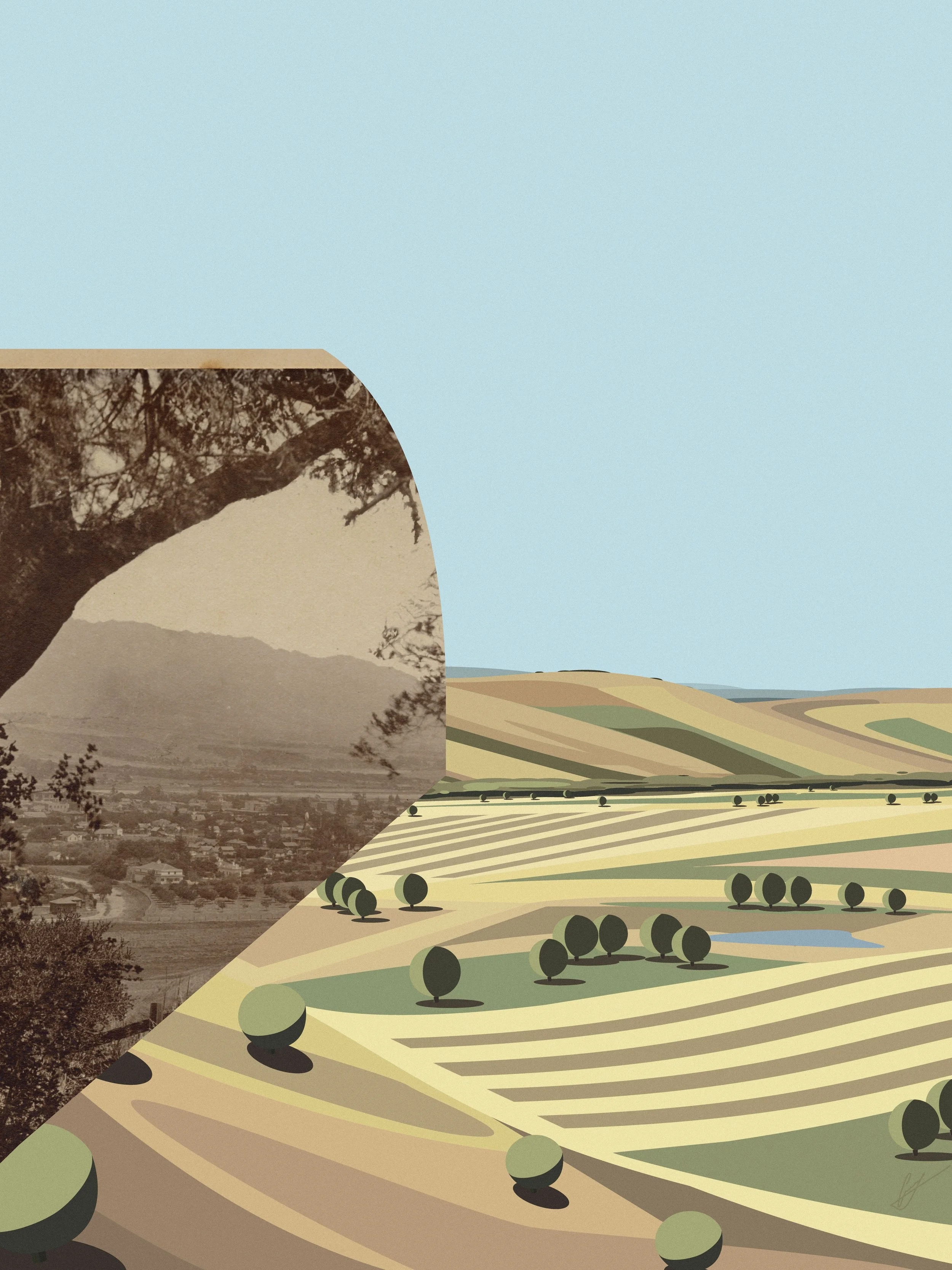 collagesalinas.jpg