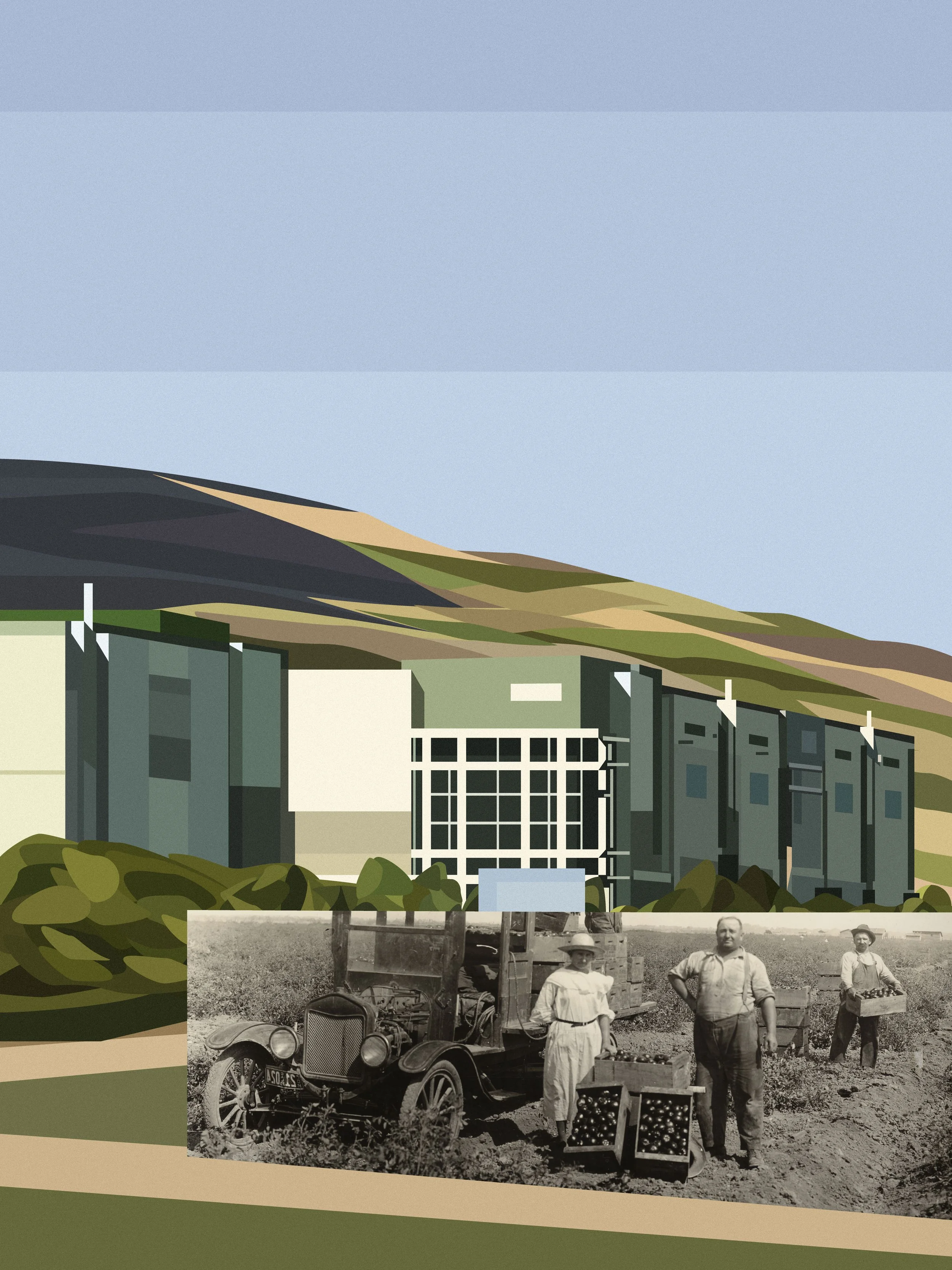 collagefullfilment.jpg