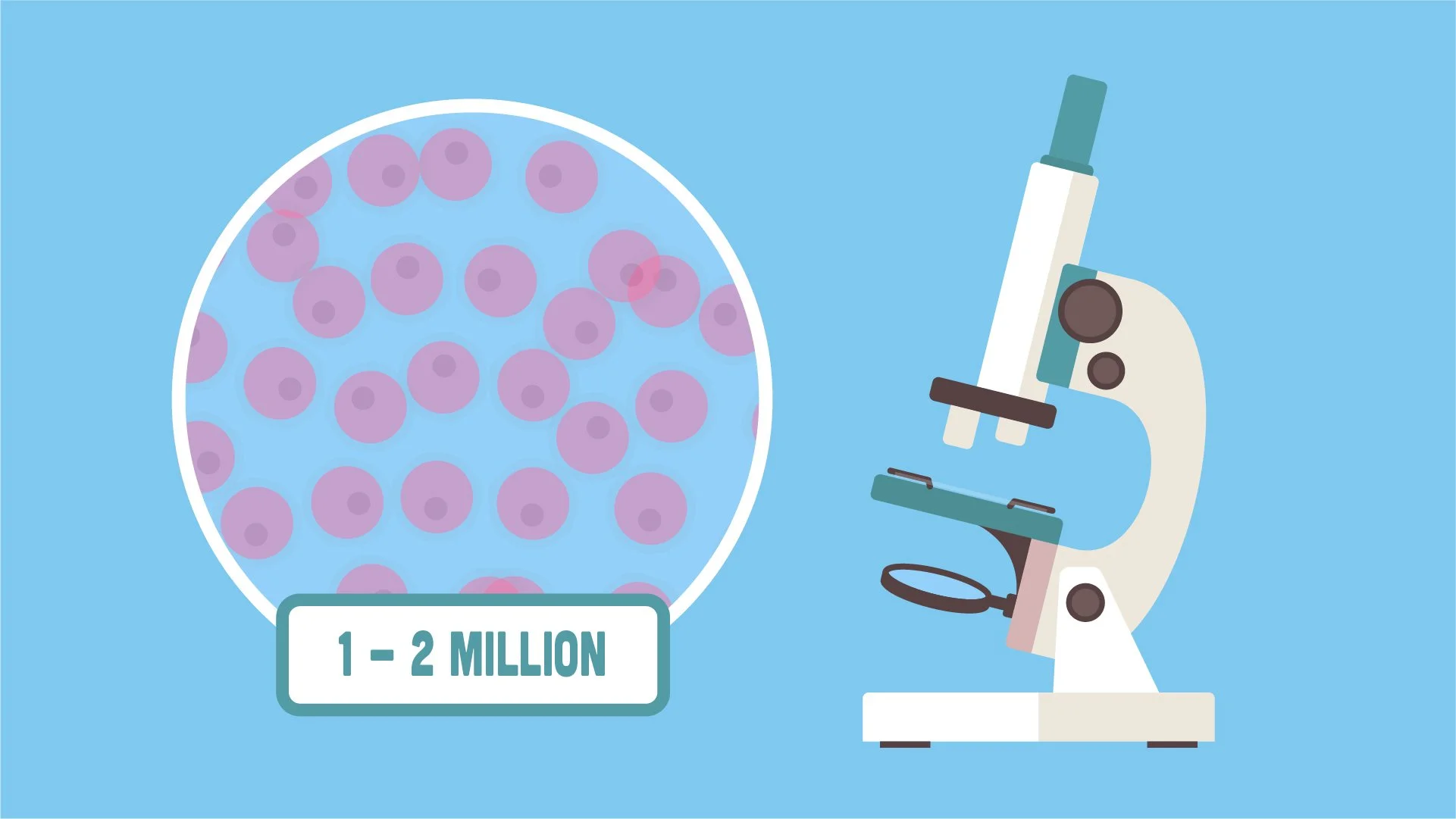 Millions of Eggs.jpg