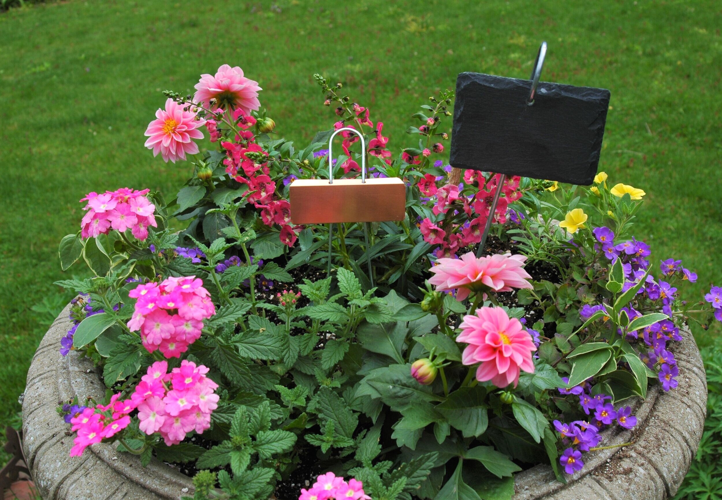 plant labels
