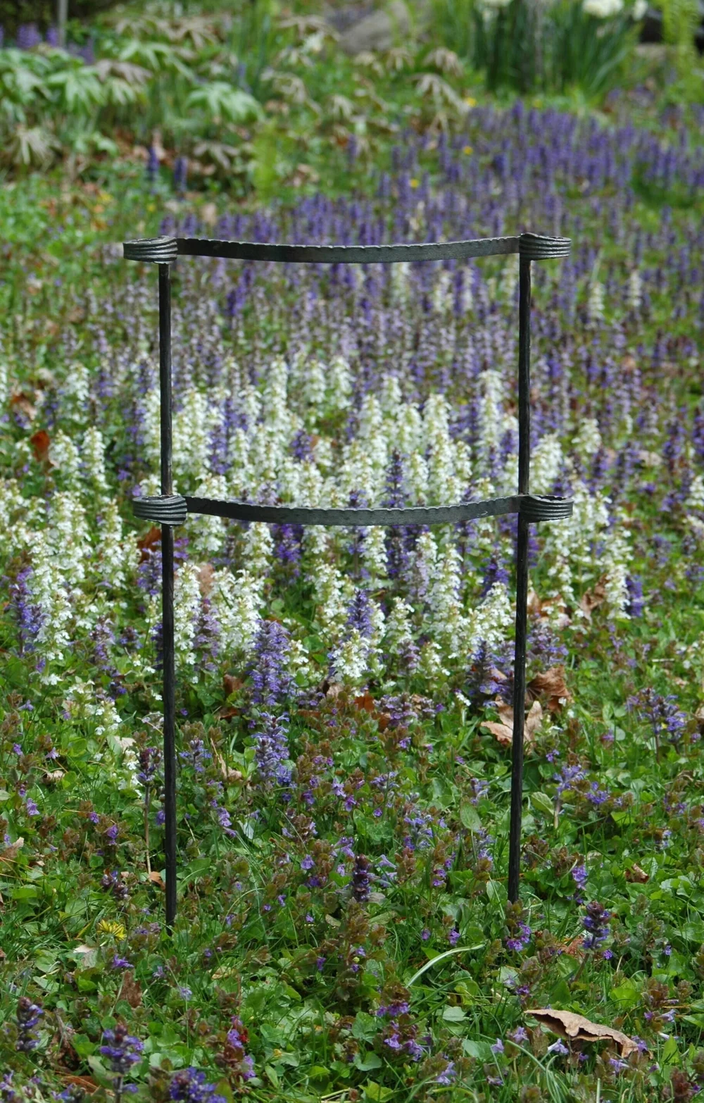 Tall Perennial Plant Supports  English Garden Supplies