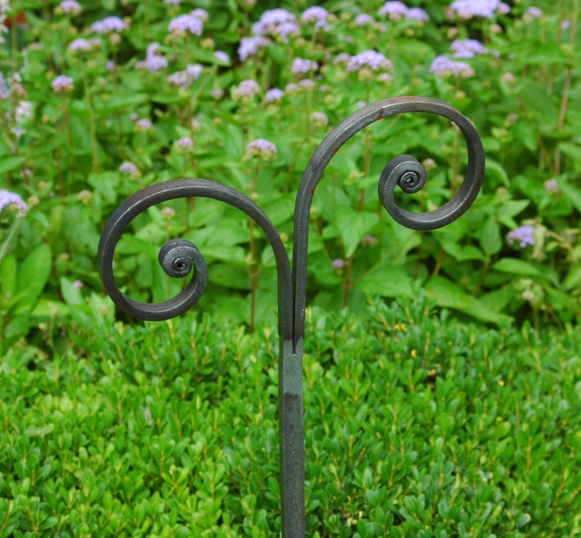 Image of Metal plant stakes