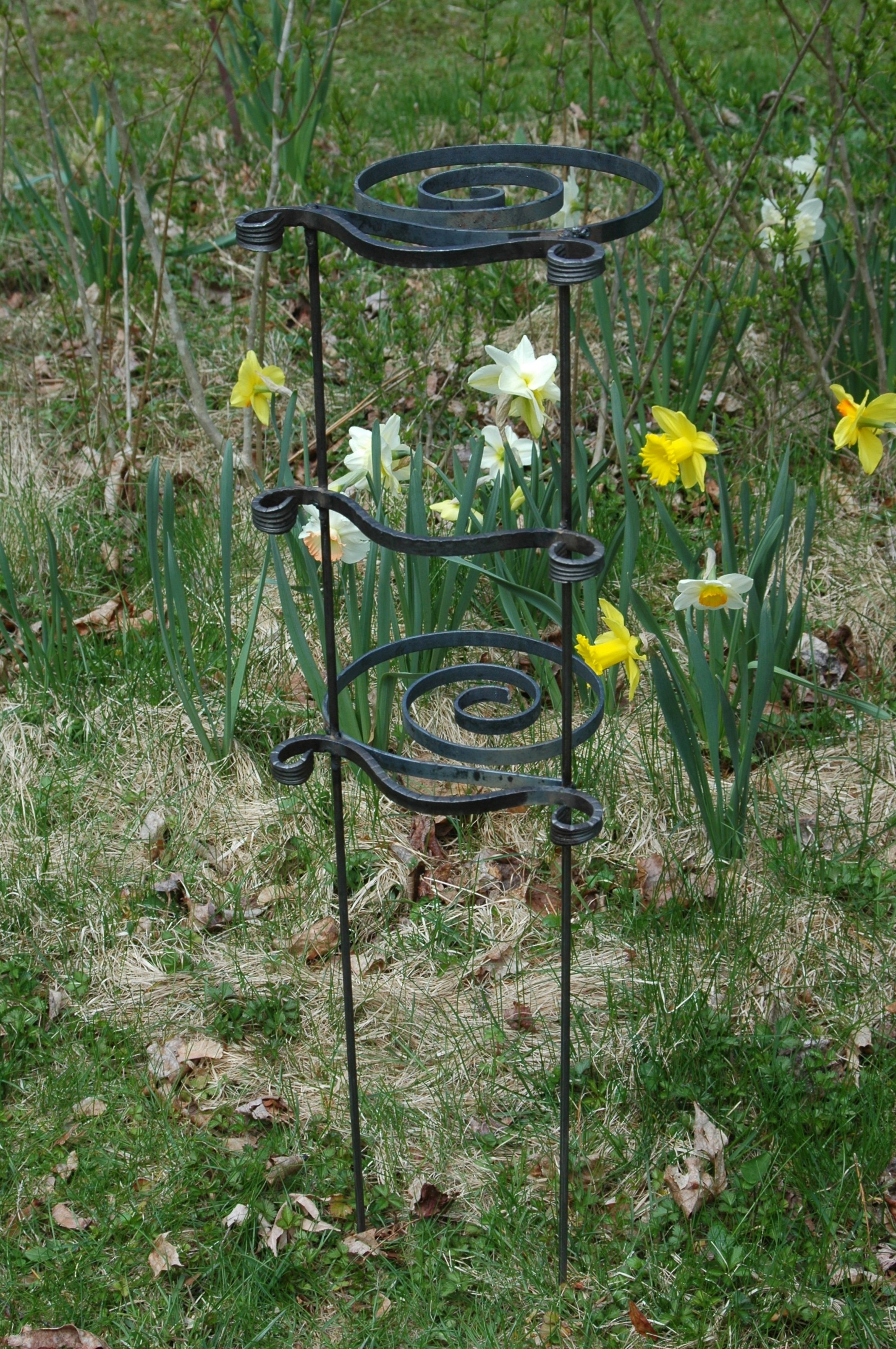 tall dahlia support