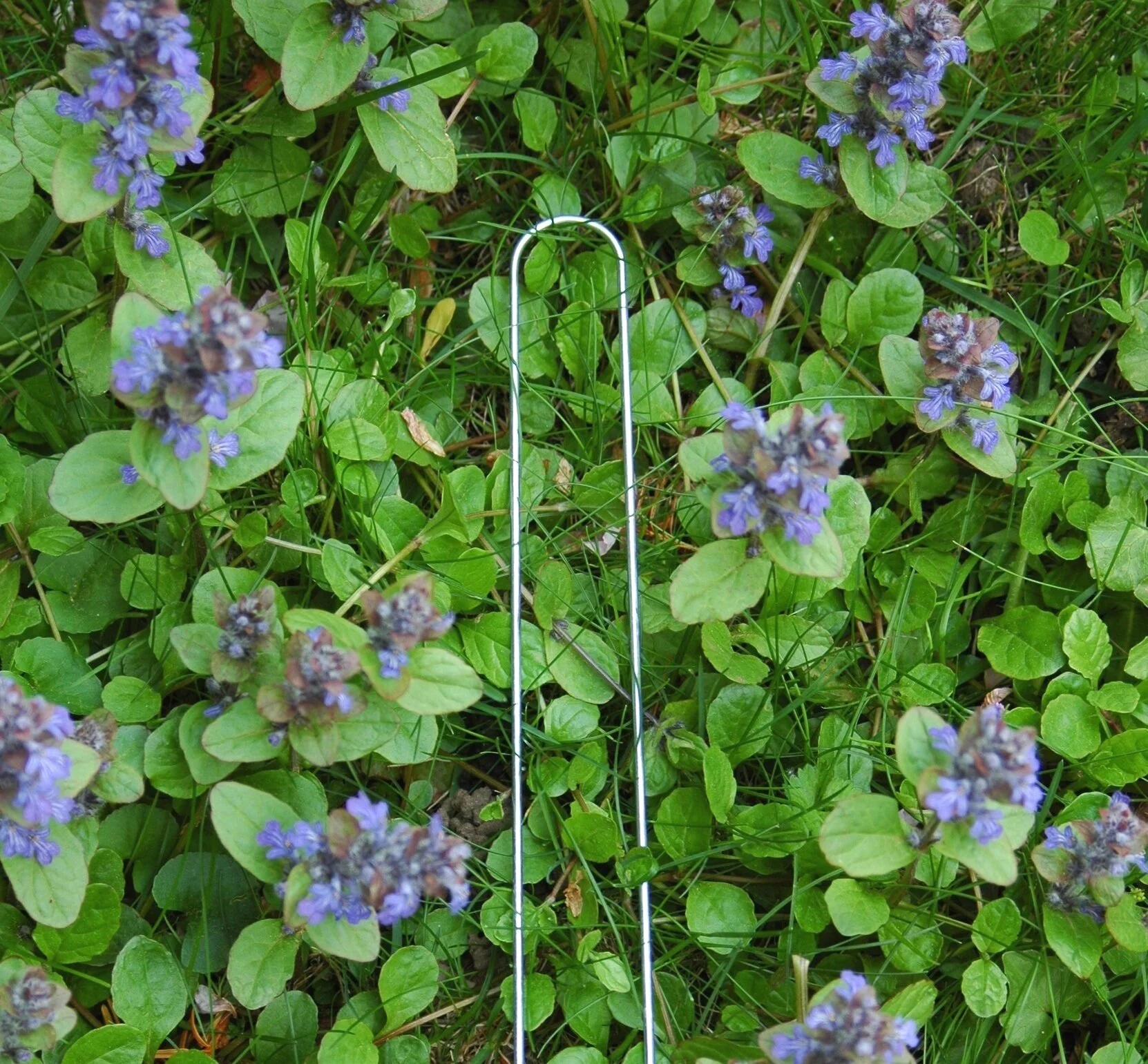 gardening supplies