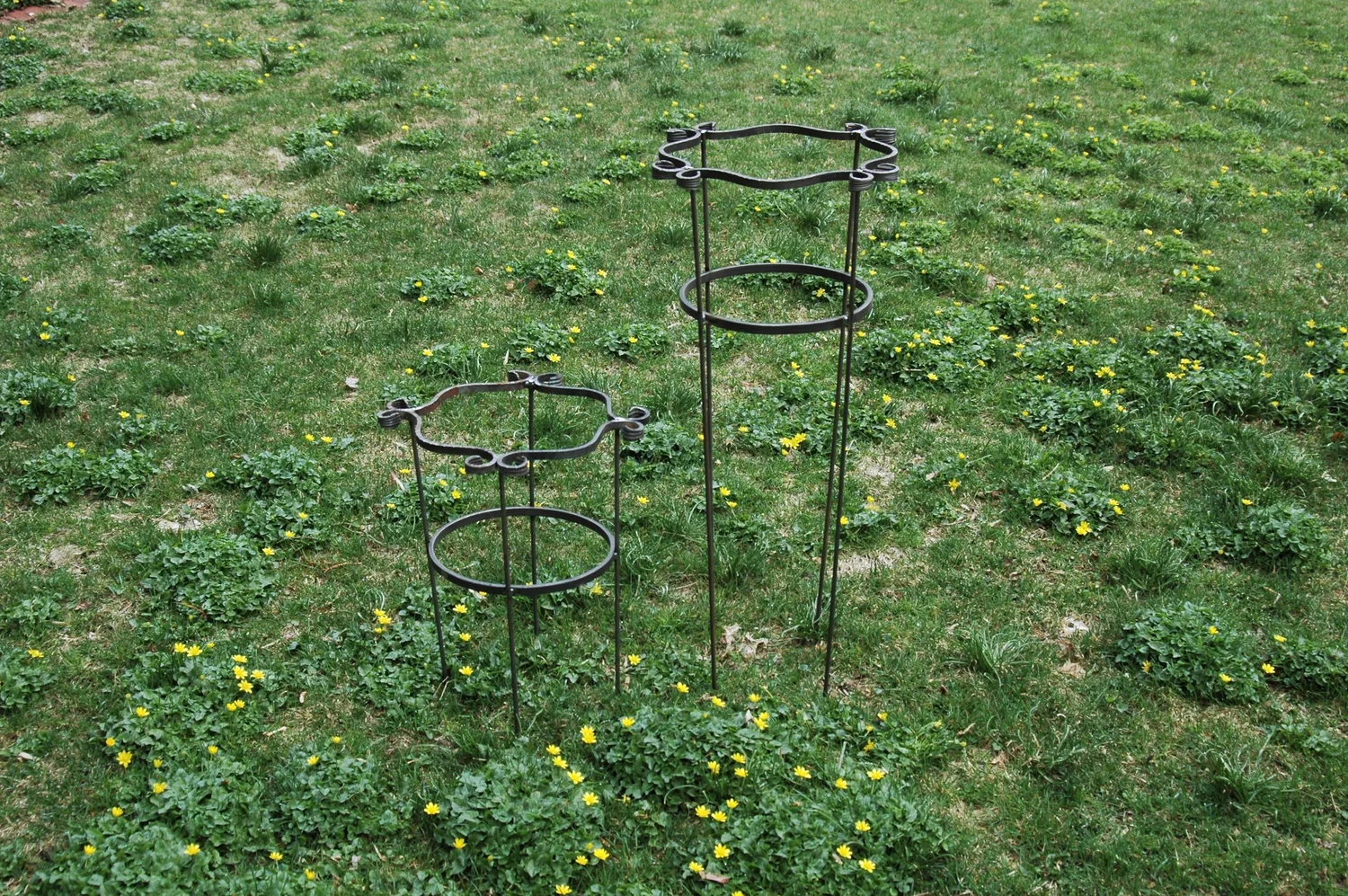 tall-perennial-plant-supports-english-garden-supplies