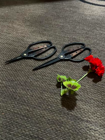 Garden and Topiary Shears