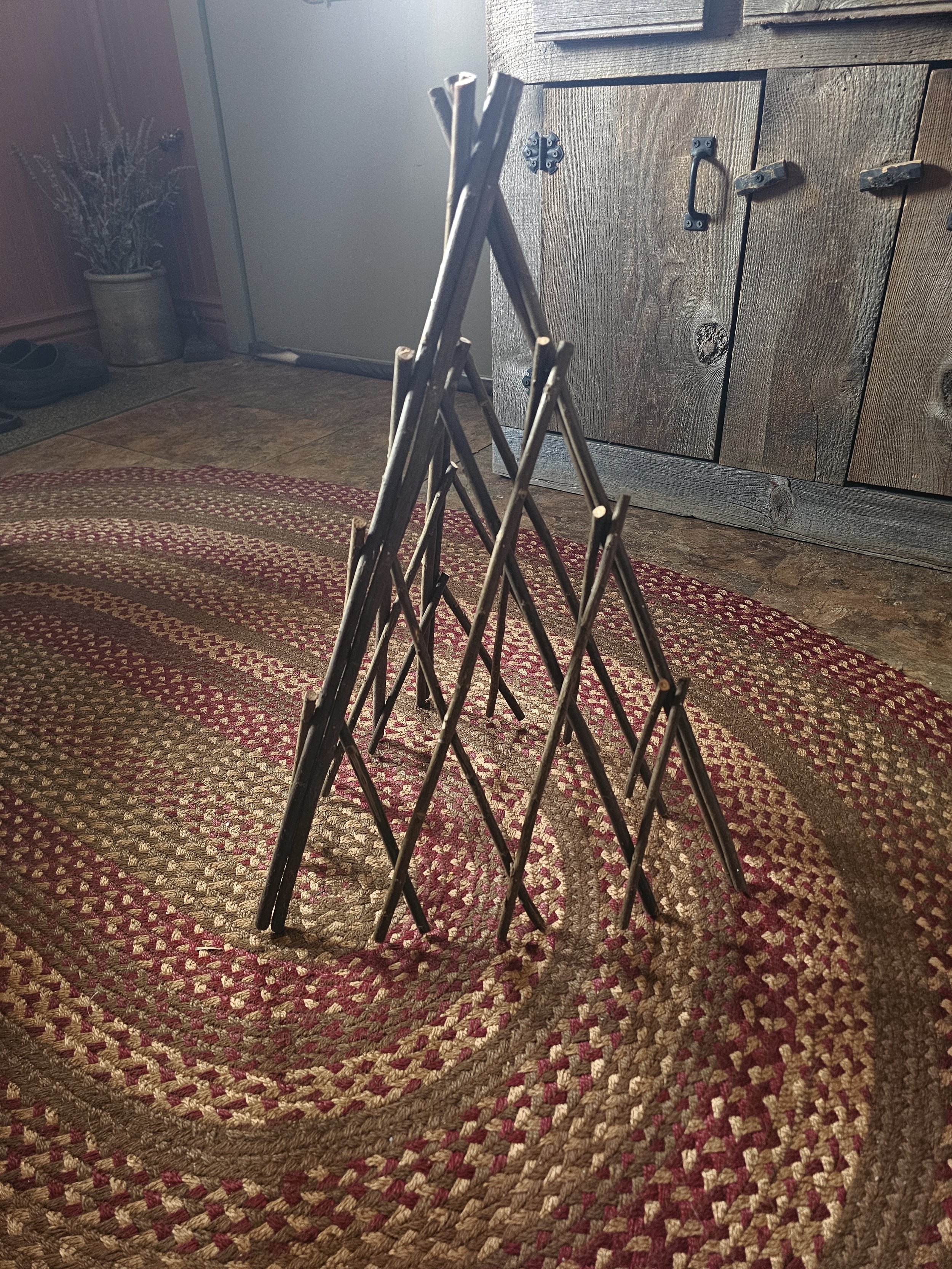 Willow Plant Support