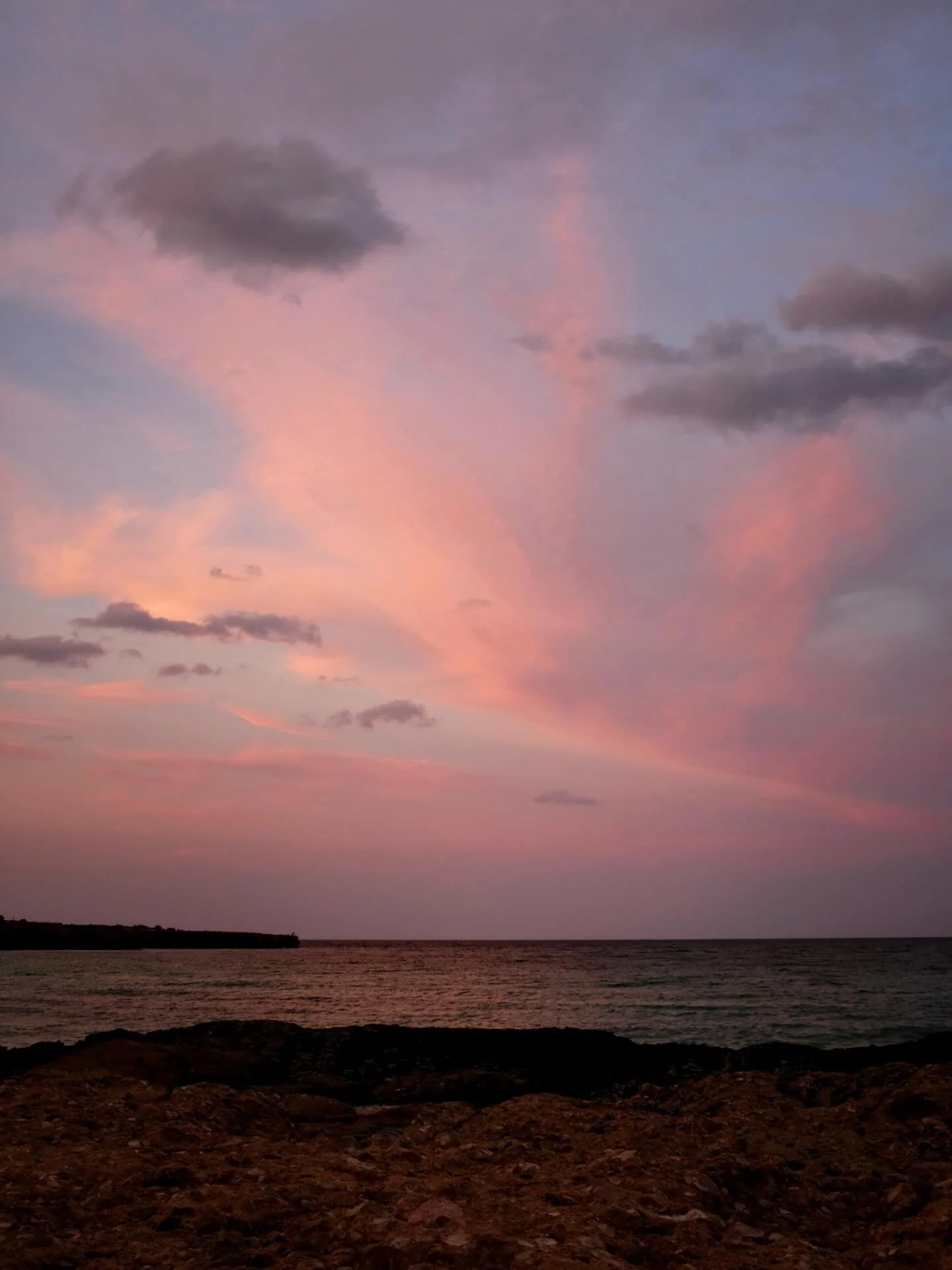 In many ways, 2025 was a very challenging and exhausting year: for the world, for the people we love, and for ourselves. All the more reason for us to end it on a positive note, with something that gives us respite, hope and cheer. And so our escape 