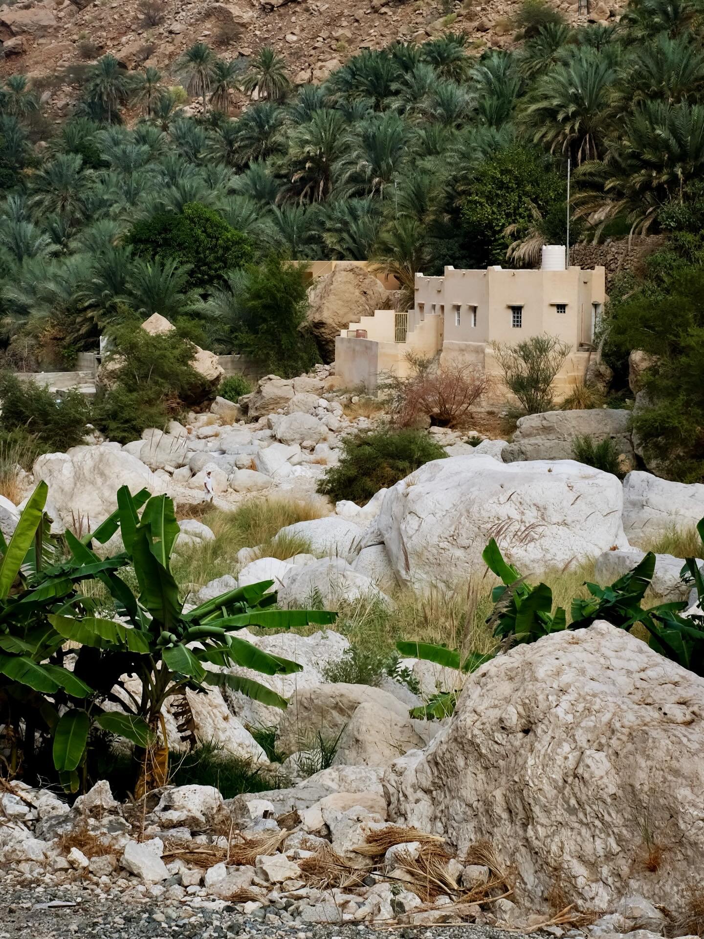 We asked ourselves how to start 2026 to manifest it as a more positive year for us. The answer came up really quick: by travelling! And we were not disappointed&hellip; 🫶🌞🐪

Stay tuned &ndash; our latest travel story is coming 🔜 www.thesturgheons