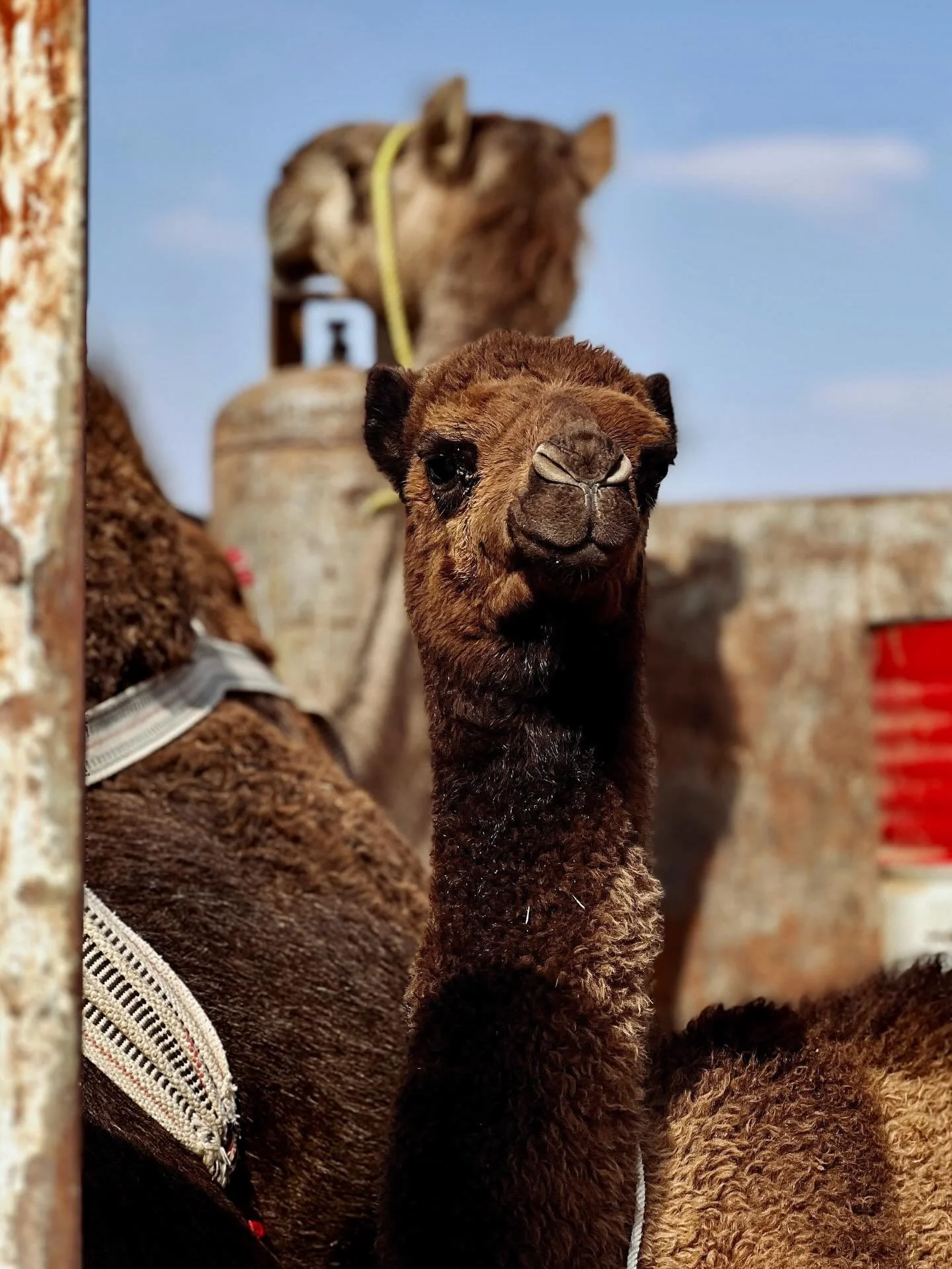 We are so excited to take you with us on our upcoming round trip. So don&rsquo;t miss the release on sunday! ☺️

#roundtrip #travel #travelphotography #potd #thesturgheons