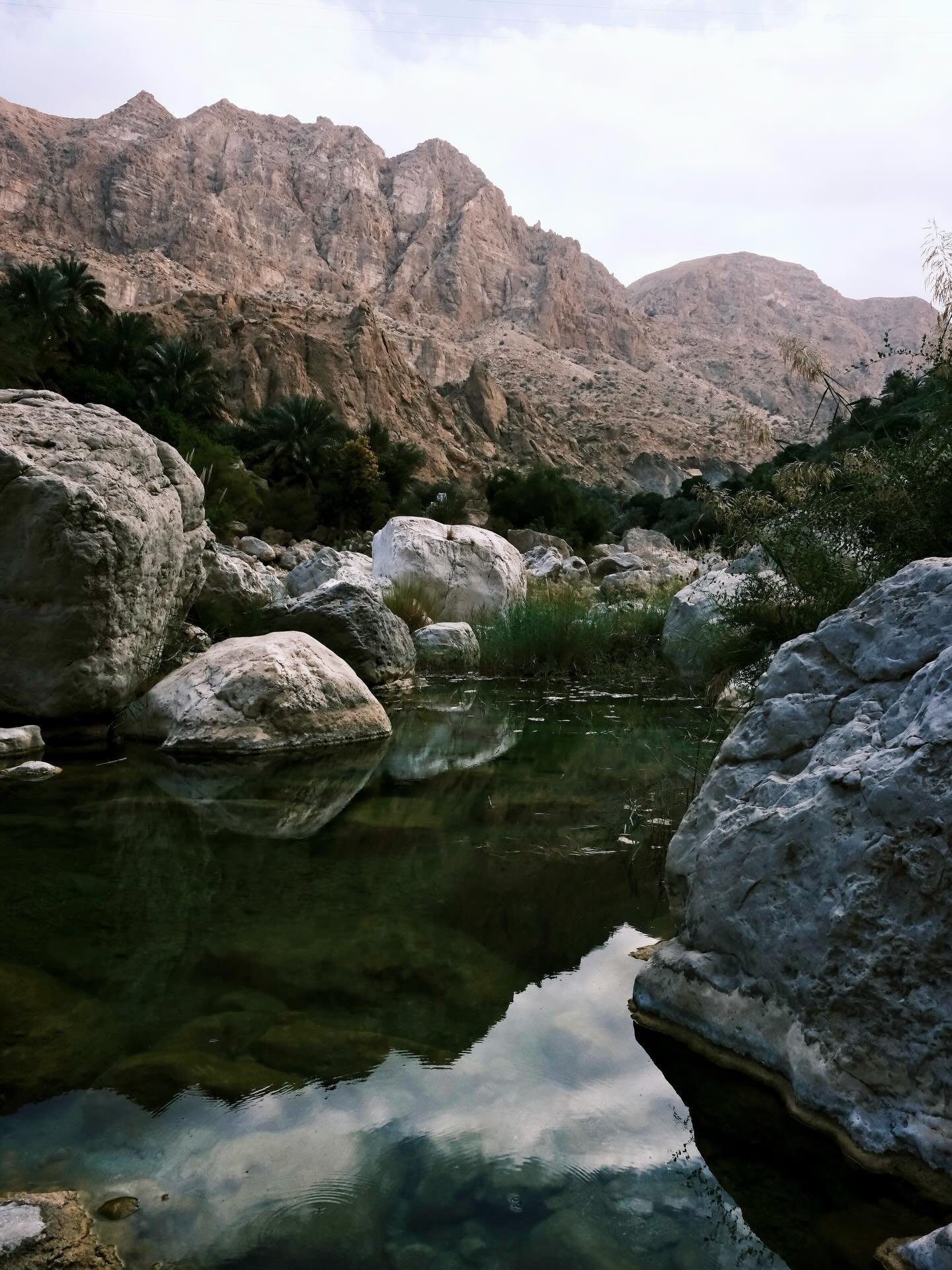 Next stop: Wadi Tiwi 🏝️

#oman #travel #nature #wadi #thesturgheons