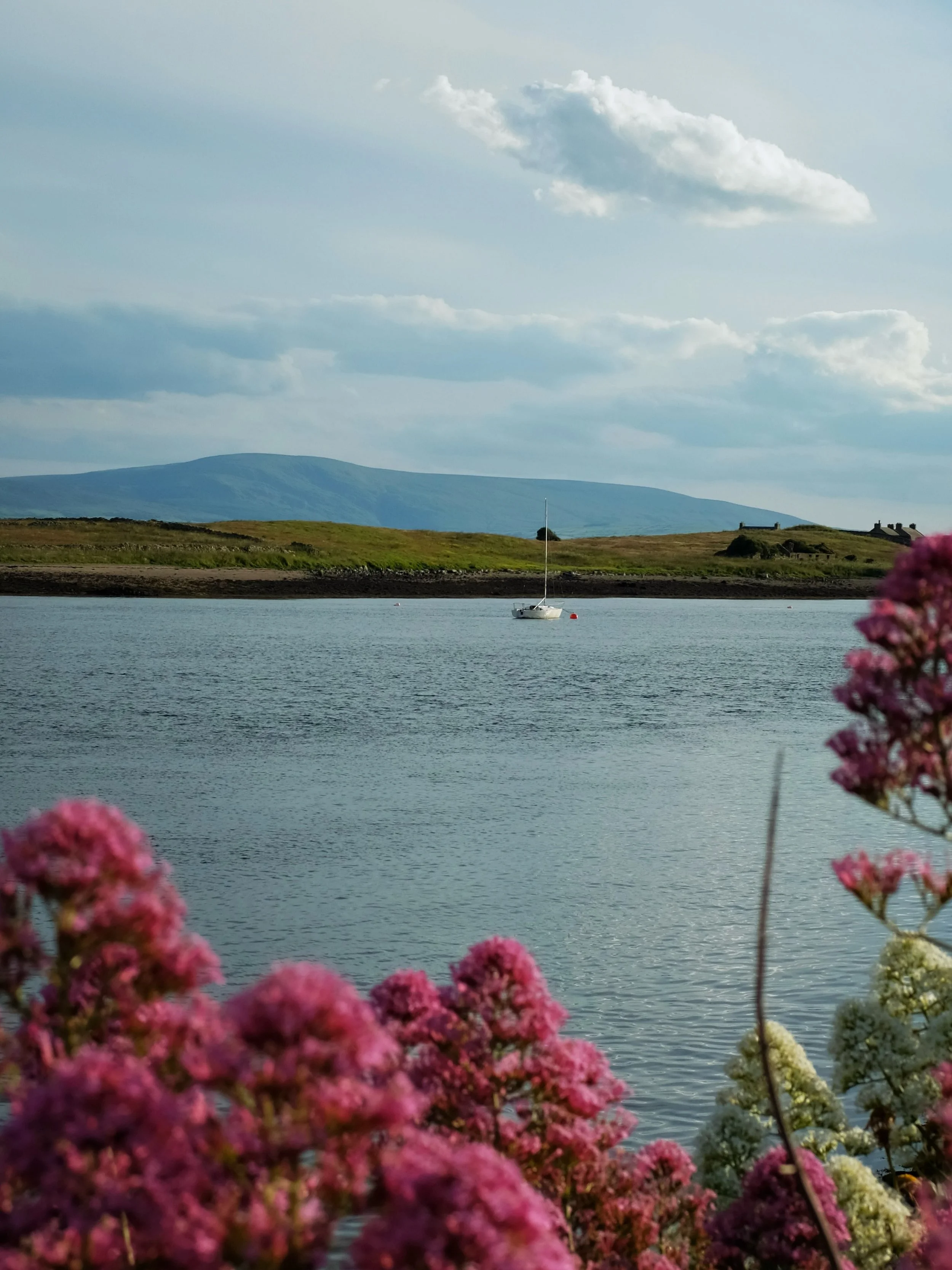 Sligo mood. 😌
Clouds. Mountains. Sea. And Flowers.

#exploreireland #naturephotography #travelwithus #roundtrip #travelstory