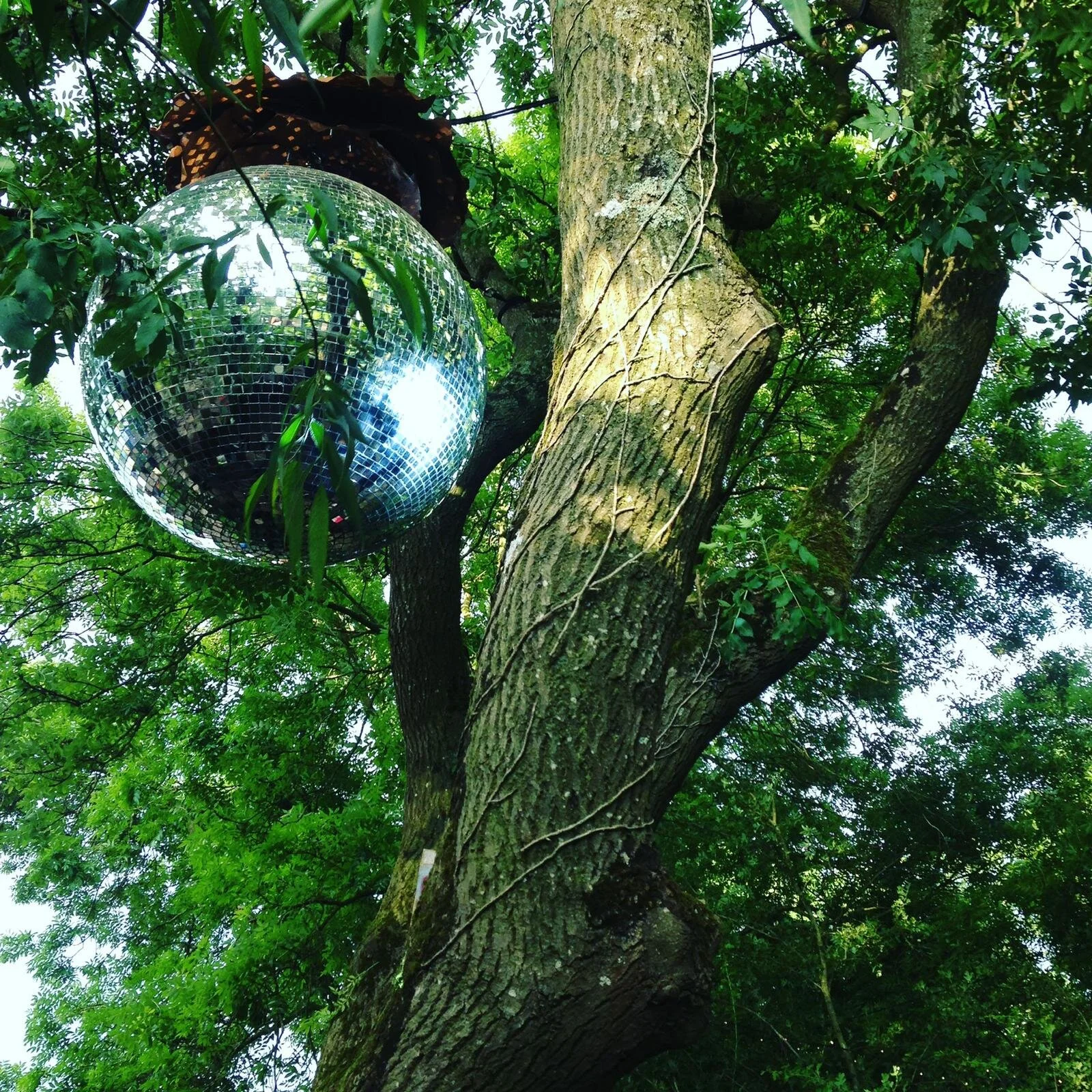 Image Credit: Sophie, VOCAL GIRLS Team