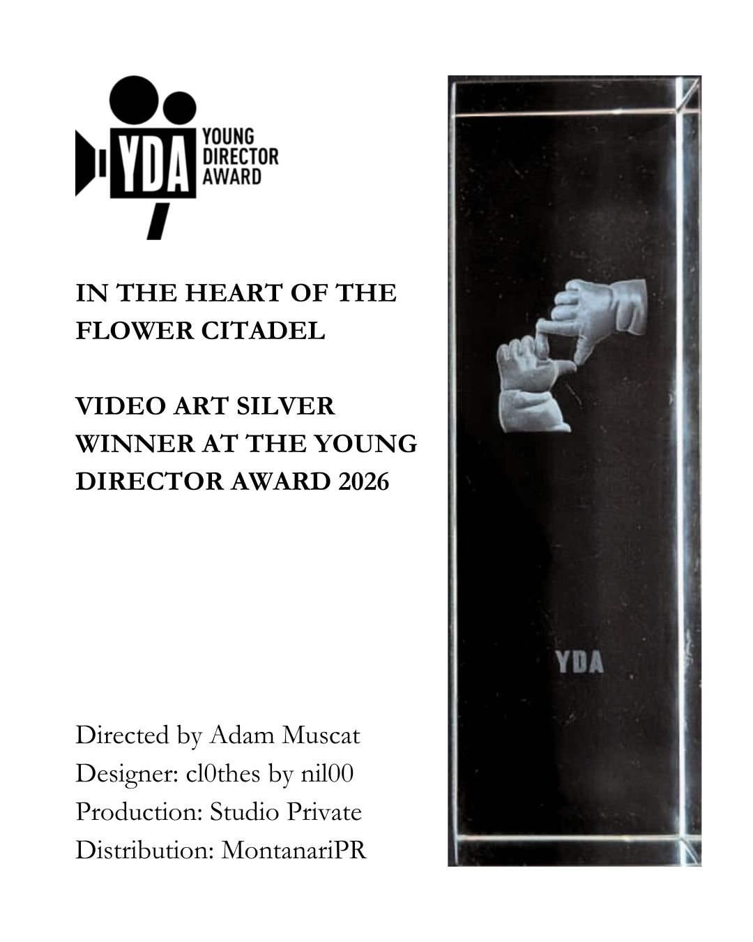@studio_private 's @adammuscat____ has been awarded Silver in Video Art at this year's @youngdirectoraward for In the Heart of the Flower Citadel. 

Huge congratulations to Adam, @cl0thes.00, Studio Private and the whole team!
