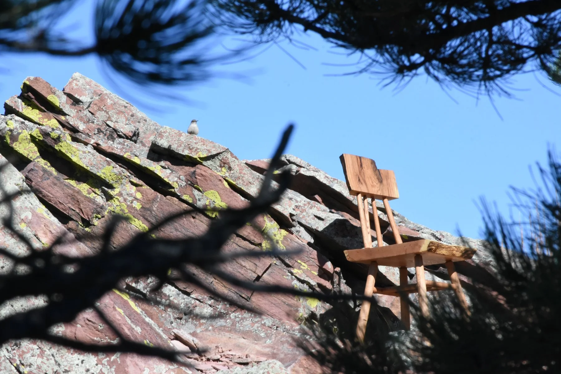 Perch Chair Outdoors 9.jpg