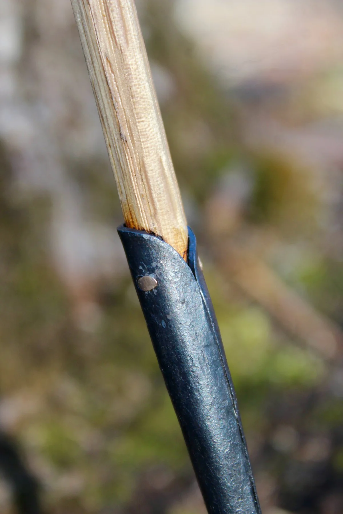 Long Shovel w_ Charlie6.jpg