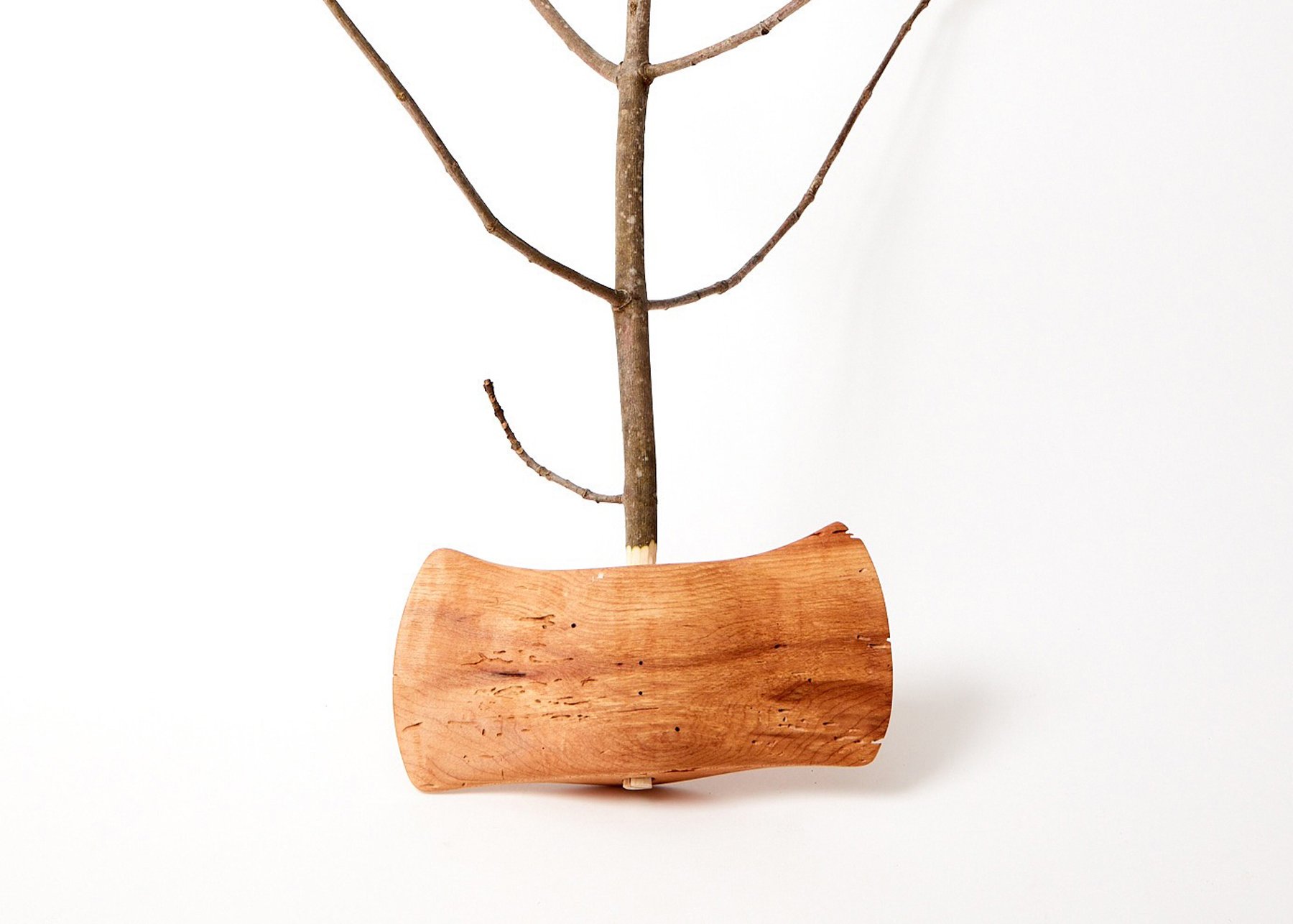 Witness Tree Axe 2.jpg