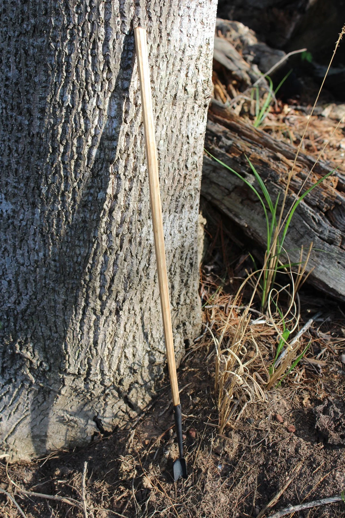 Long Shovel w_ Charlie1.jpg