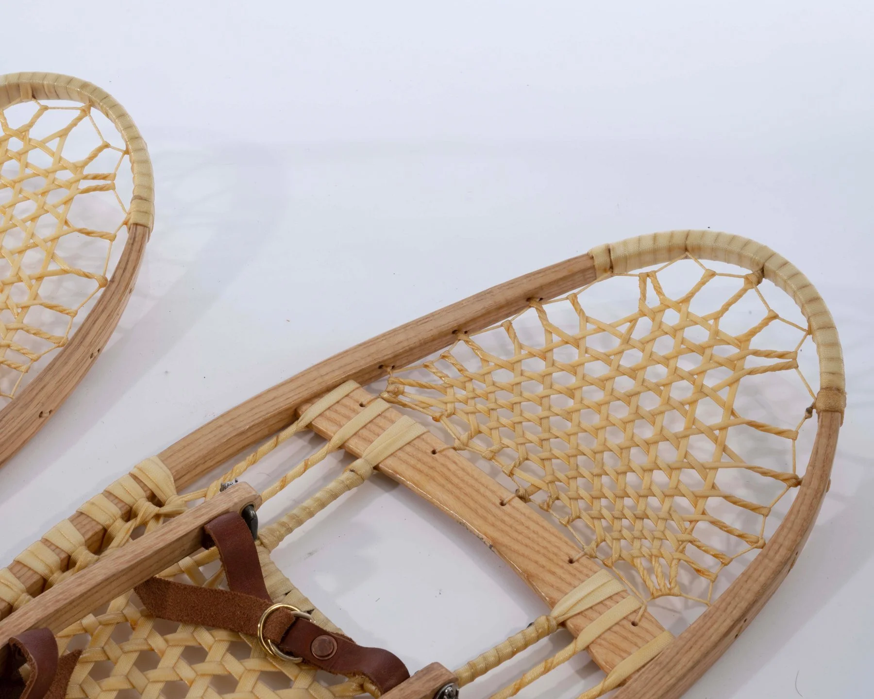 Snowshoes4.jpg