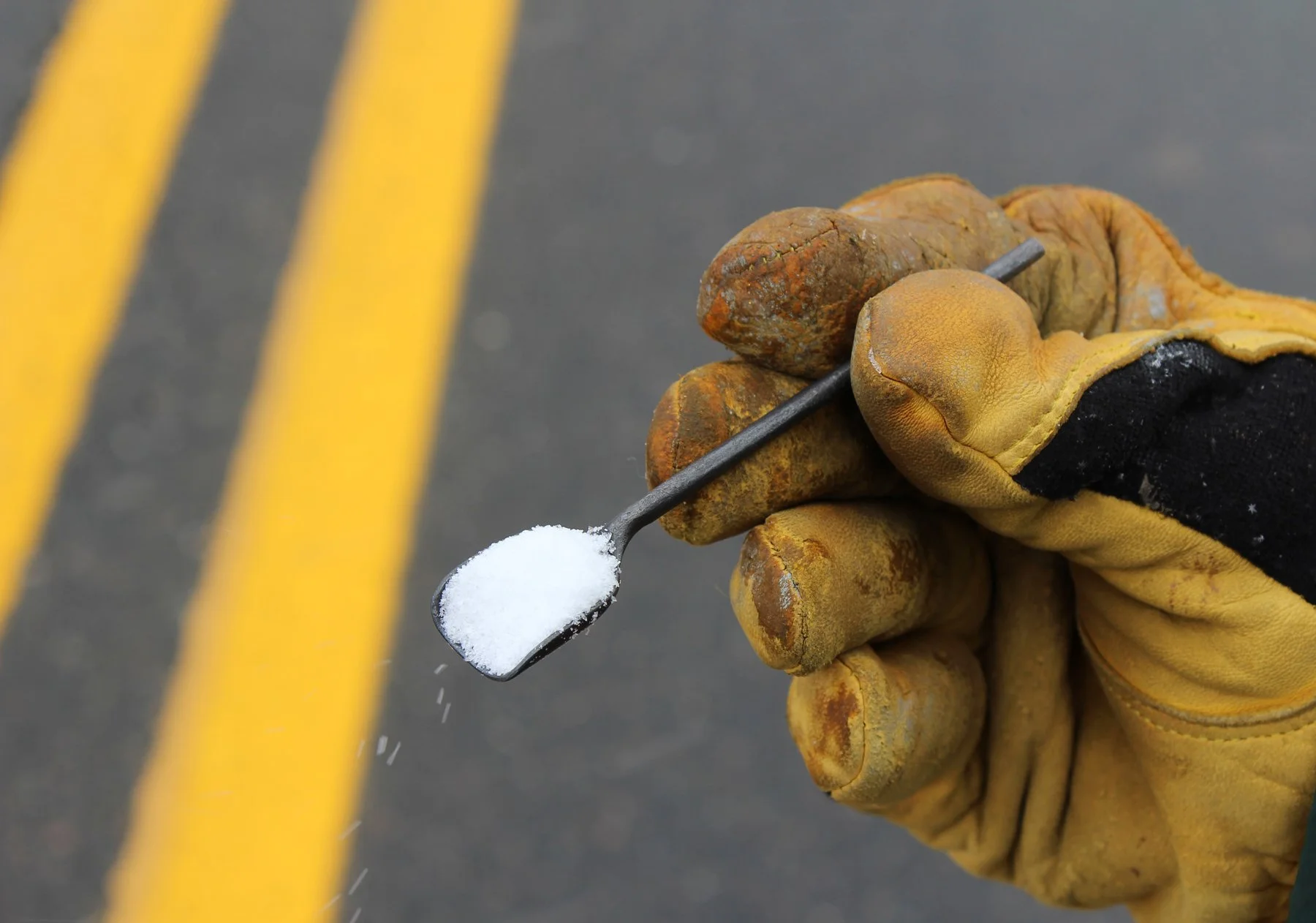 Road Salt Cellars Outdoors 40.jpg