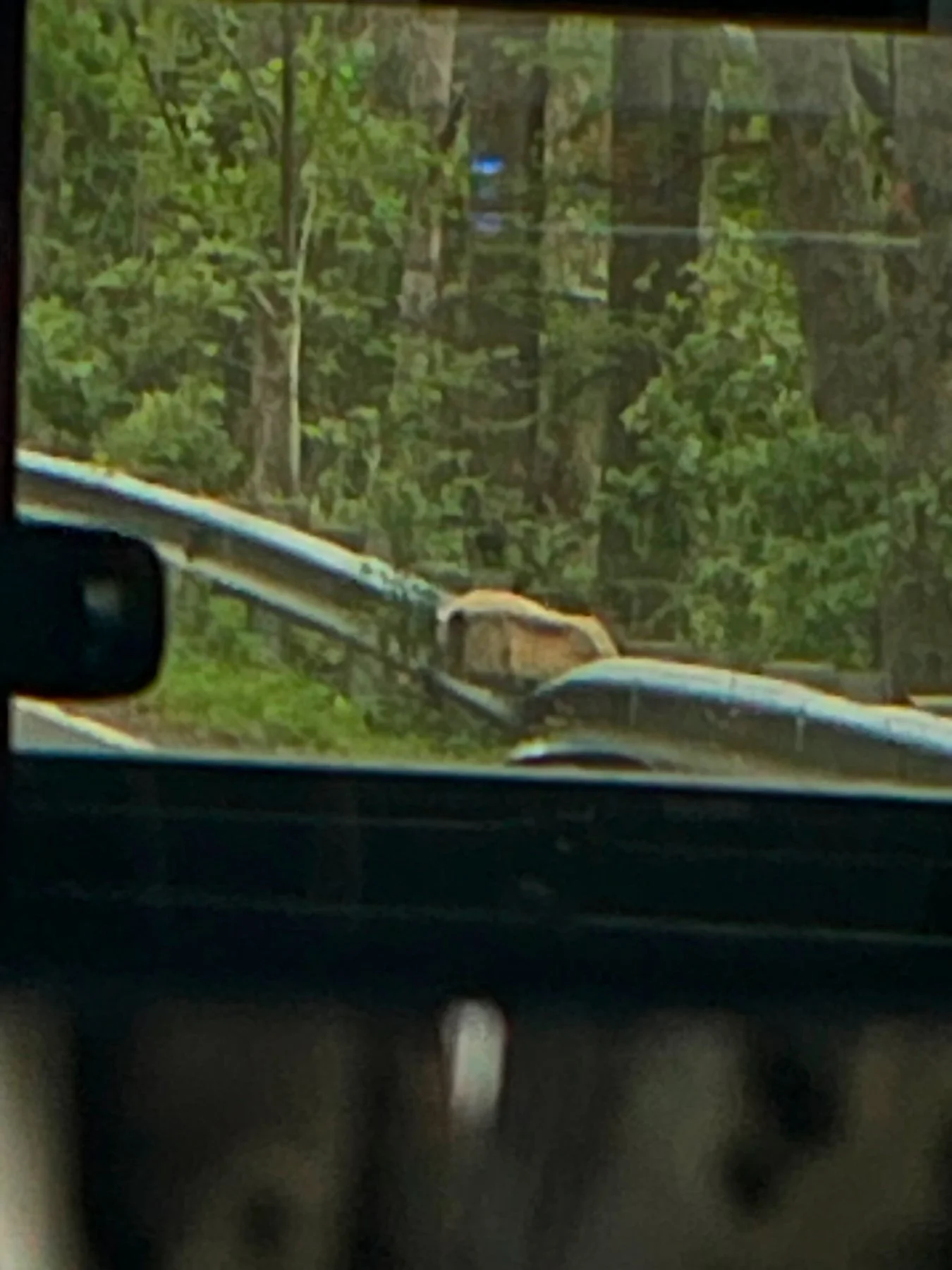 Guard Rail Rock 11.jpg