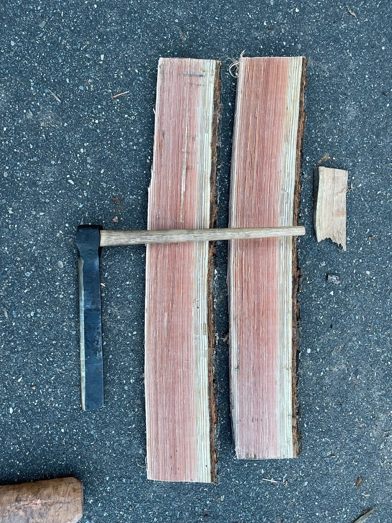 Erin and Charlie Splitting 2.jpg