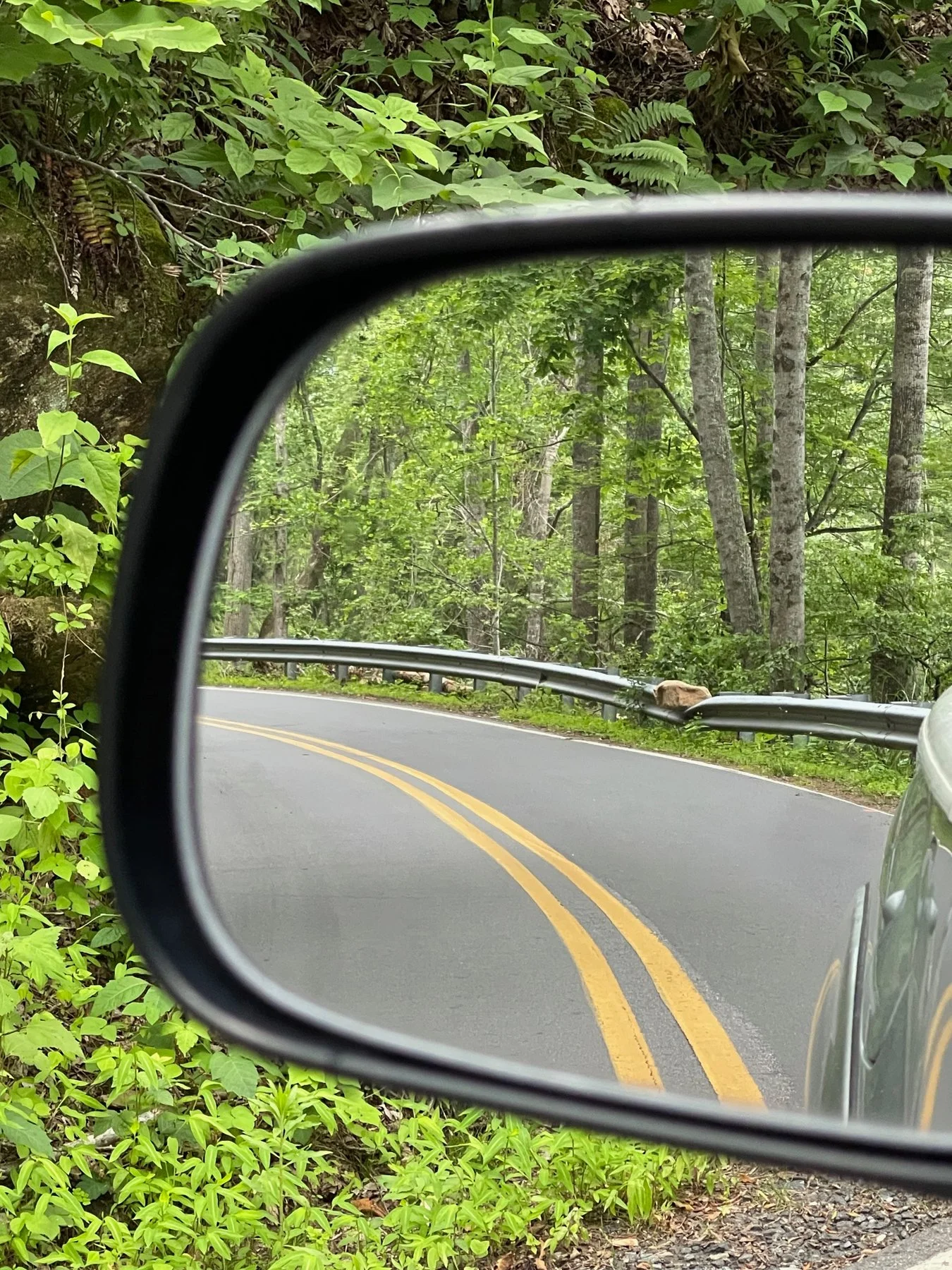 Guard Rail Rock 14.jpg