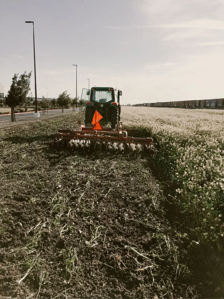 Disking Weed Abatement