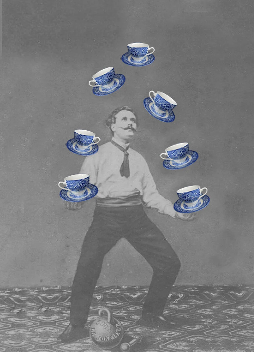 cups Vio.jpg
