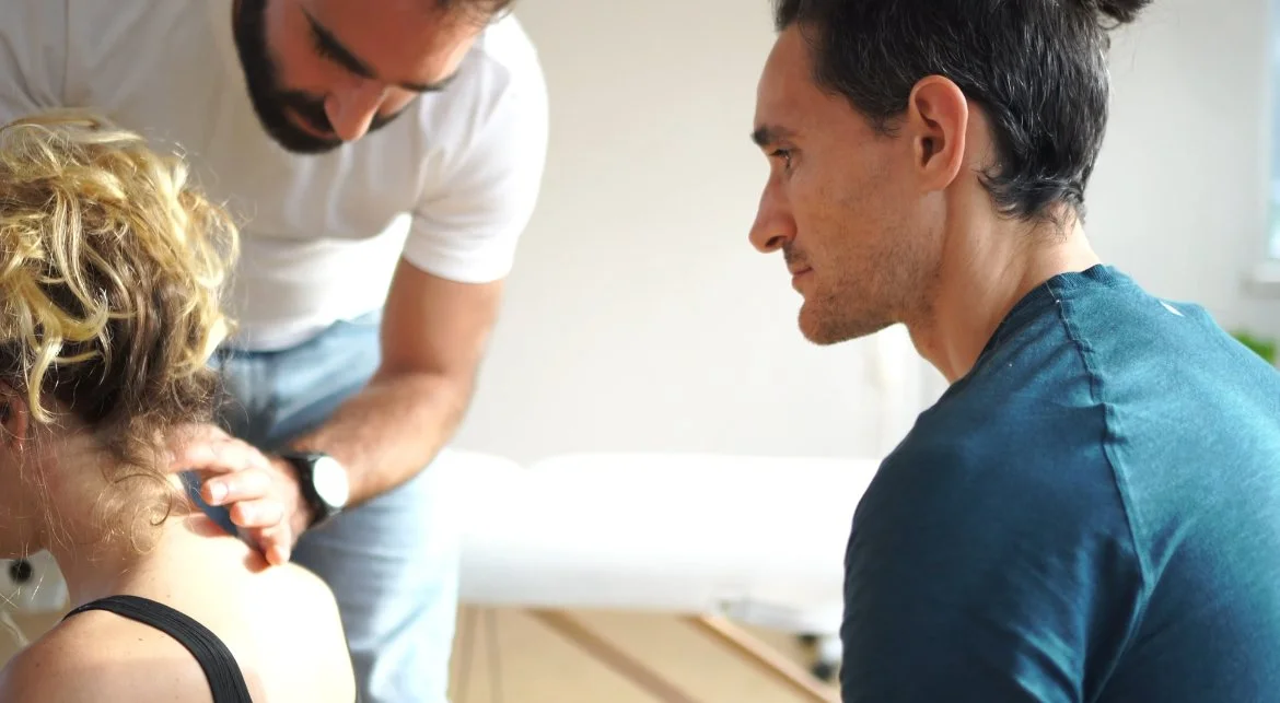 formation yoga anatomie palpatoire