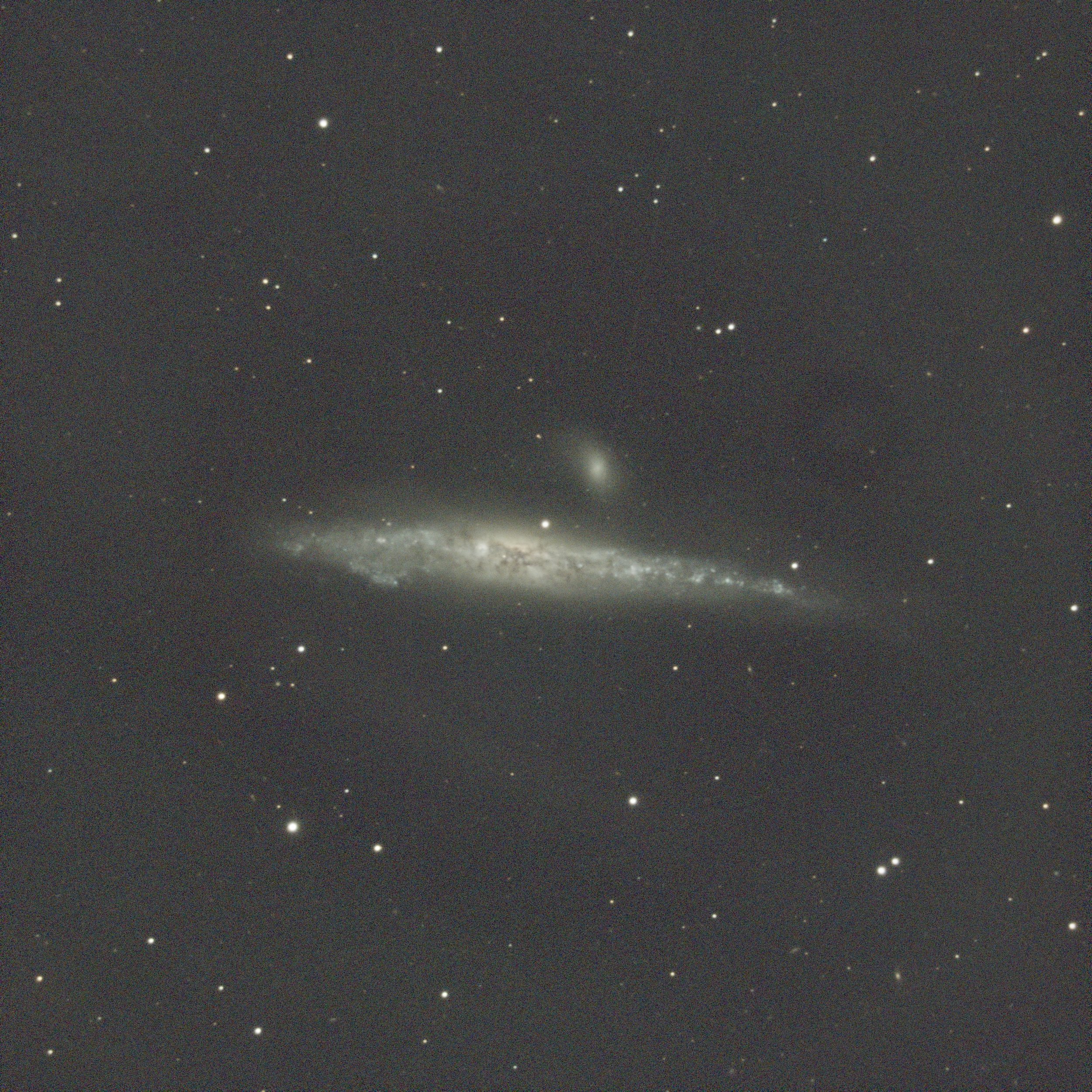 C32 Whale Galaxy, May 8th 2025, 35x120s, C9.25 w/ 0.63x, ASI533MC Pro