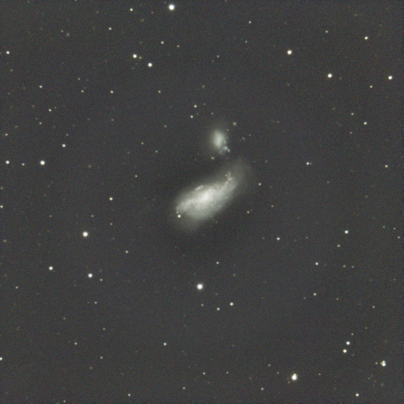 NGC4490 Cocoon Galaxy, Dec 15th 2025, 30x120s, C9.25 w/ 0.63x, ASI533MC Pro