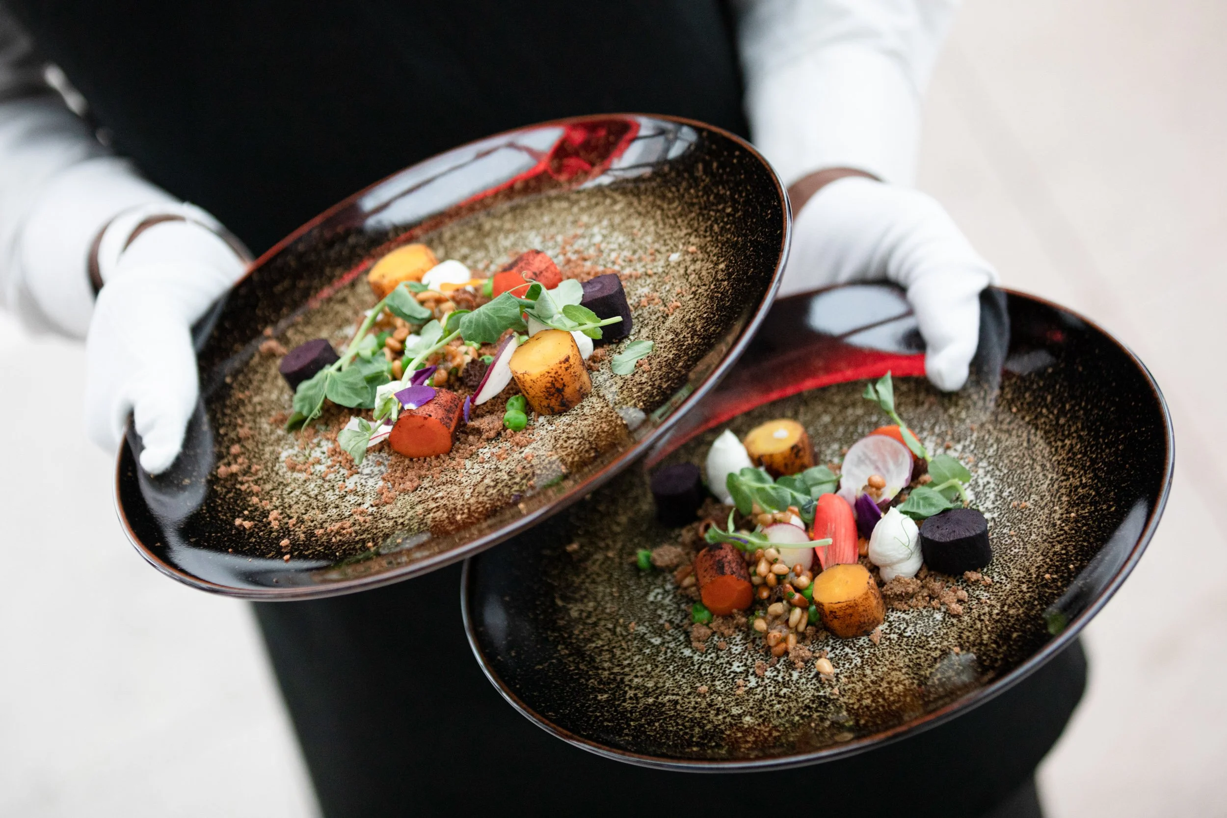 Chef holding two elegant plates with gourmet food arrangement, including roasted vegetables, microgreens, and decorative elements.