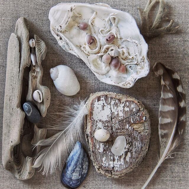 Simple things found on the beach are so precious and beautiful, completely unable to not stop and collect things along the beach.......
.
.
.
.
#seashore #beach #northcornwall #collecting #coastalliving #foraging #shells #driftwood #feathers #cowries