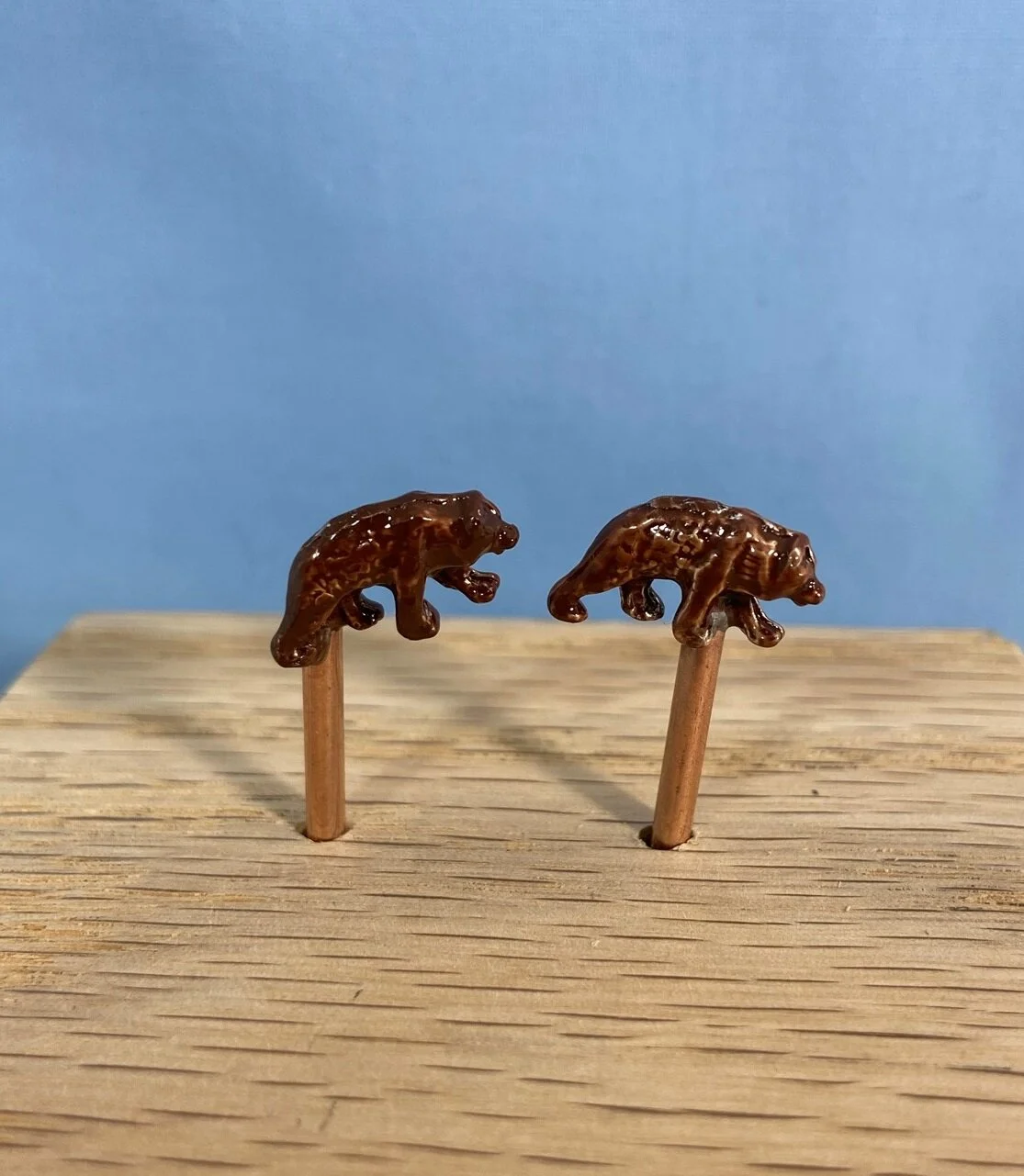 brown bear.JPEG