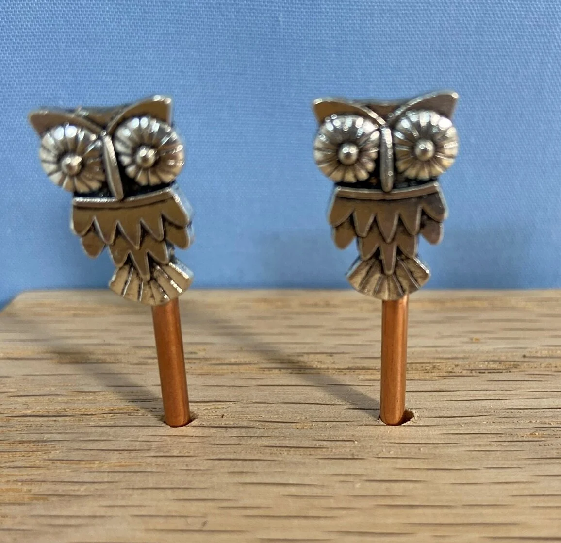 owl.JPEG