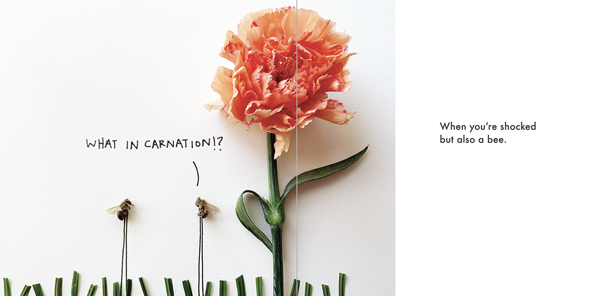 How to Bee Better with Ali Beckman of SoFlyTaxidermy — Good People ...