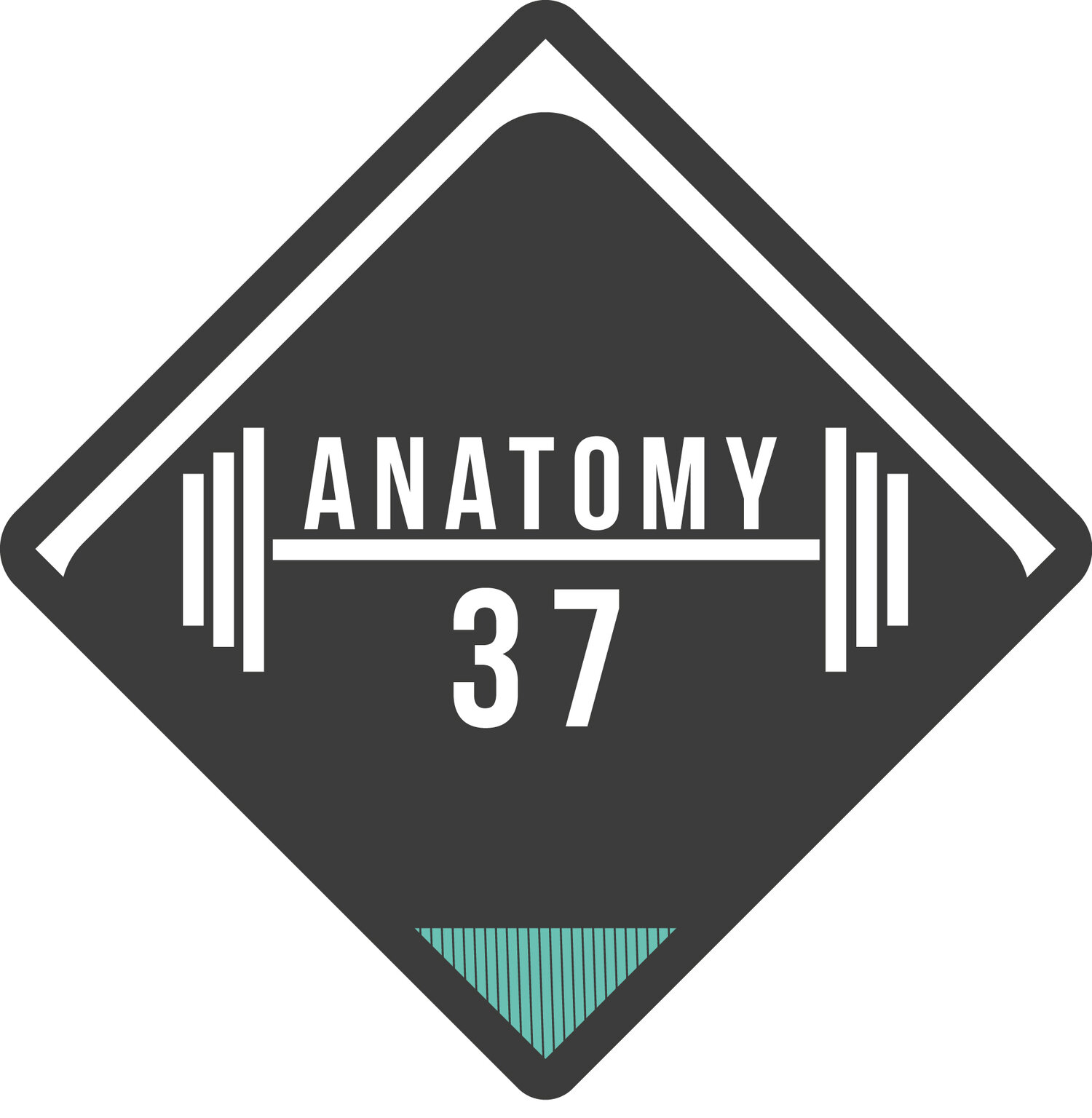 Anatomy 37 Gym