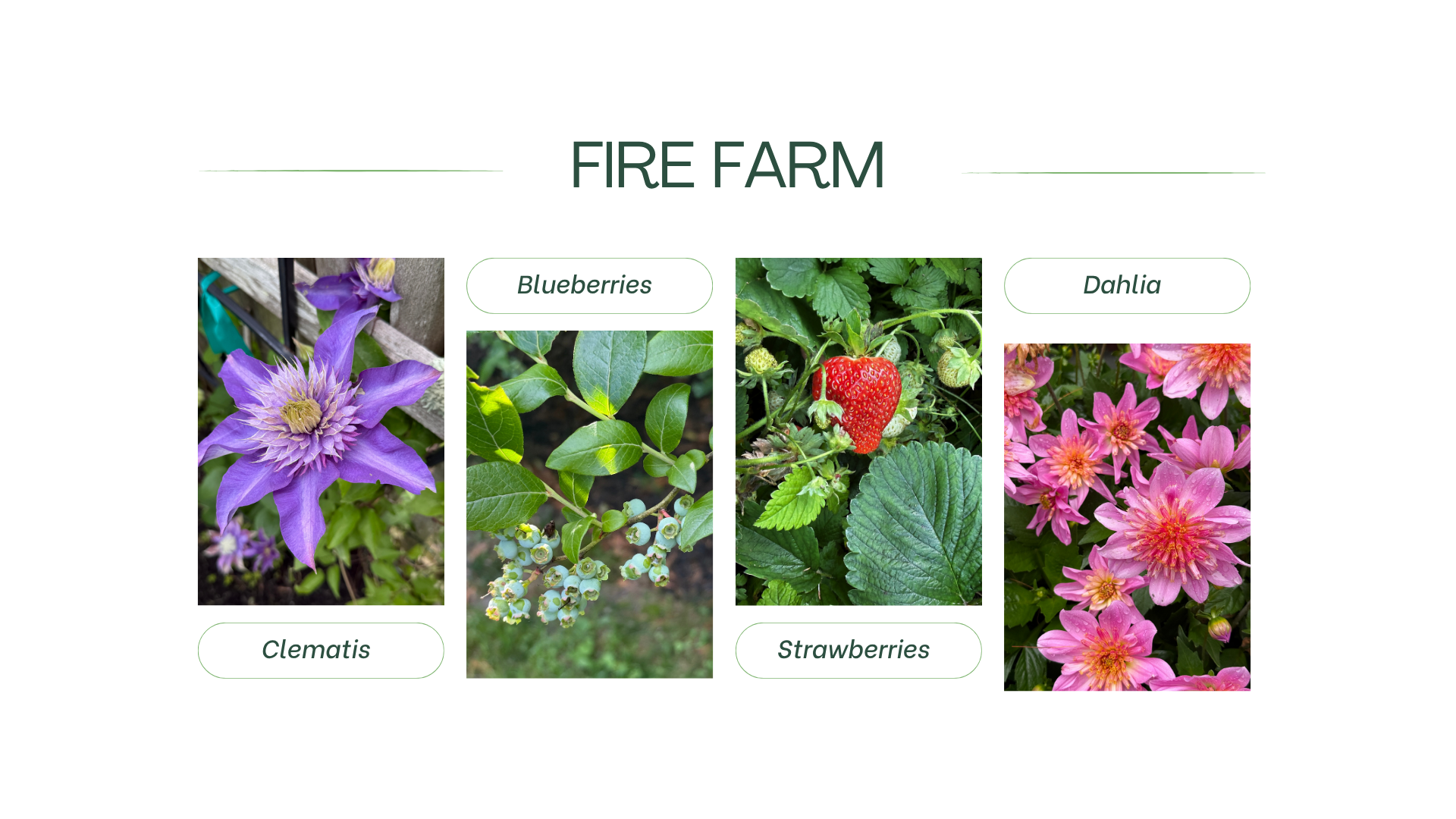 Fire Farm This Summer