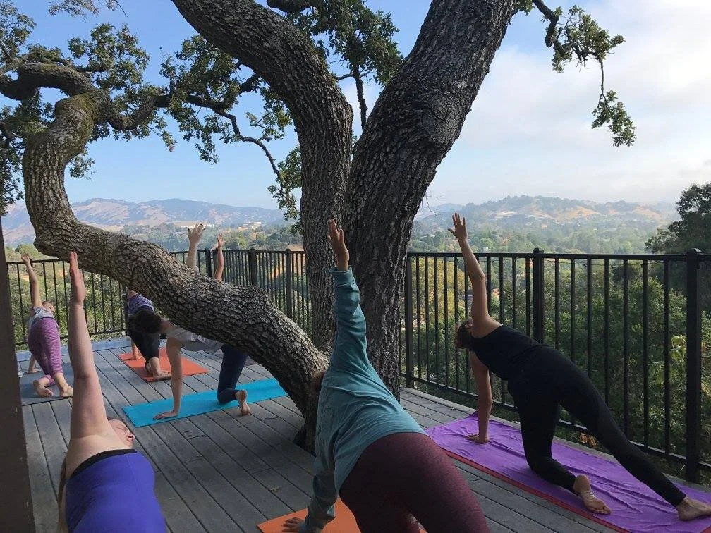 yoga-retreat-marin.jpg