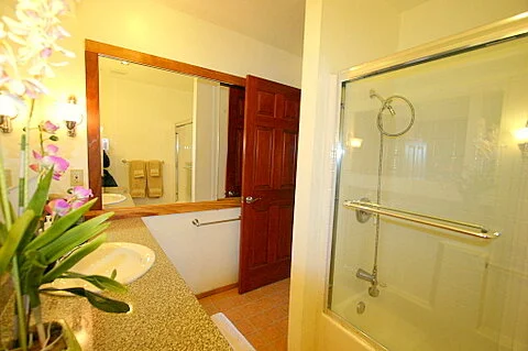 Lower floor Bathroom.jpg