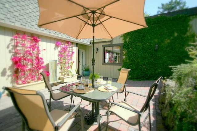 Patio_w_waterfall_upper lawn area.jpg