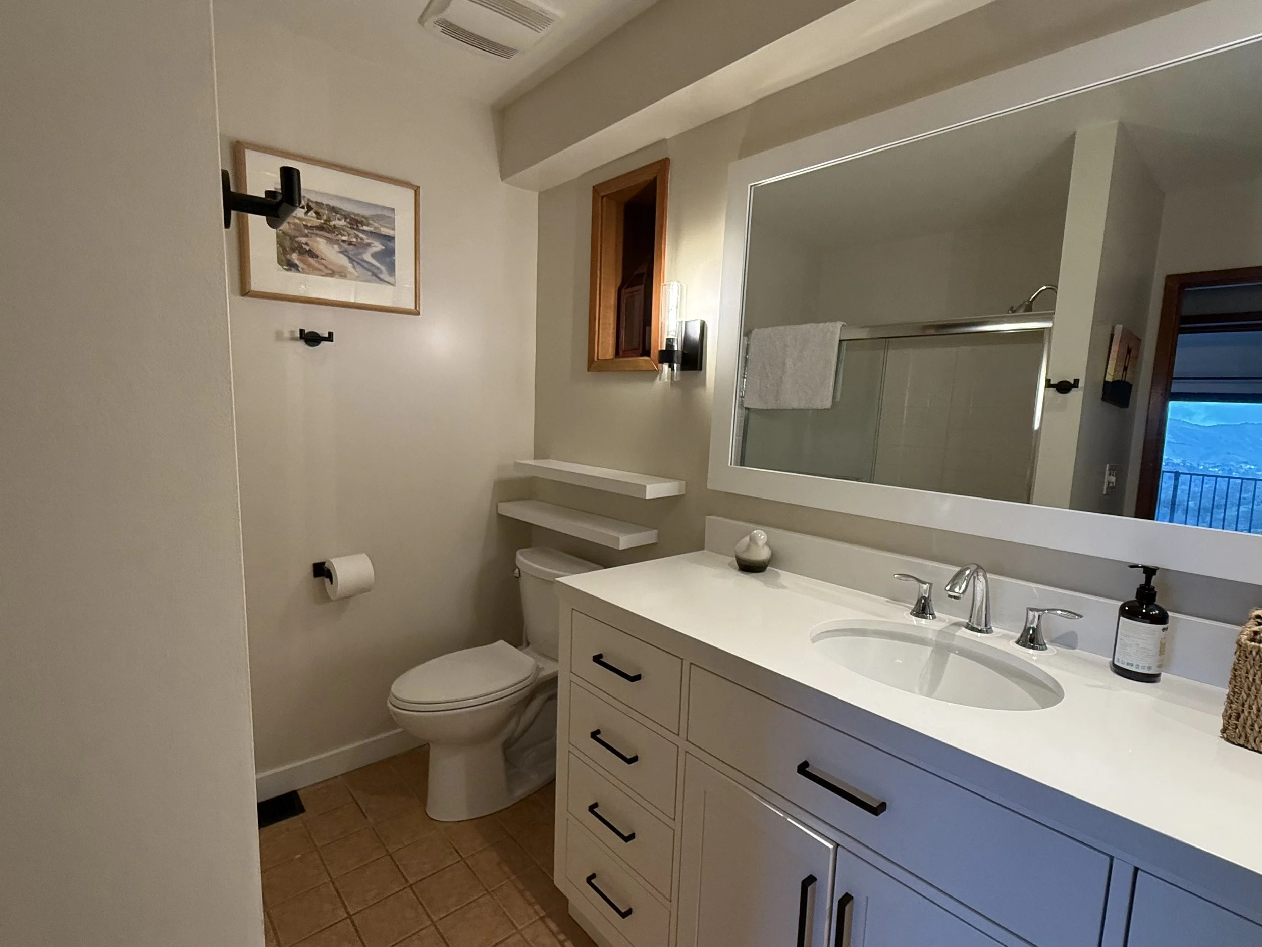 Lower level full bathroom